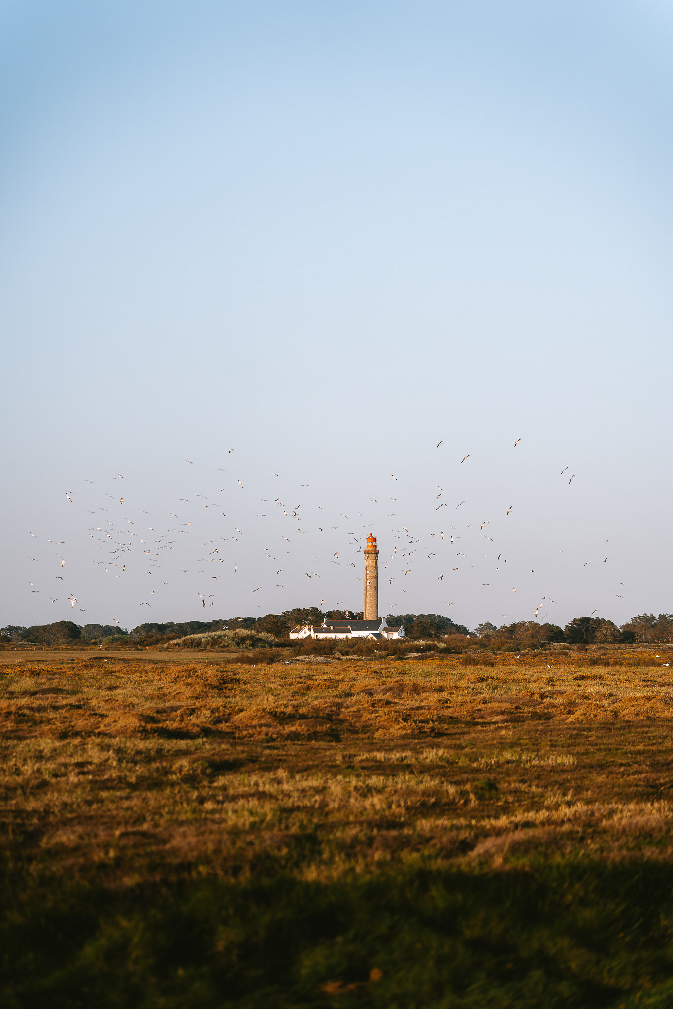 Belle-île, Frankreich