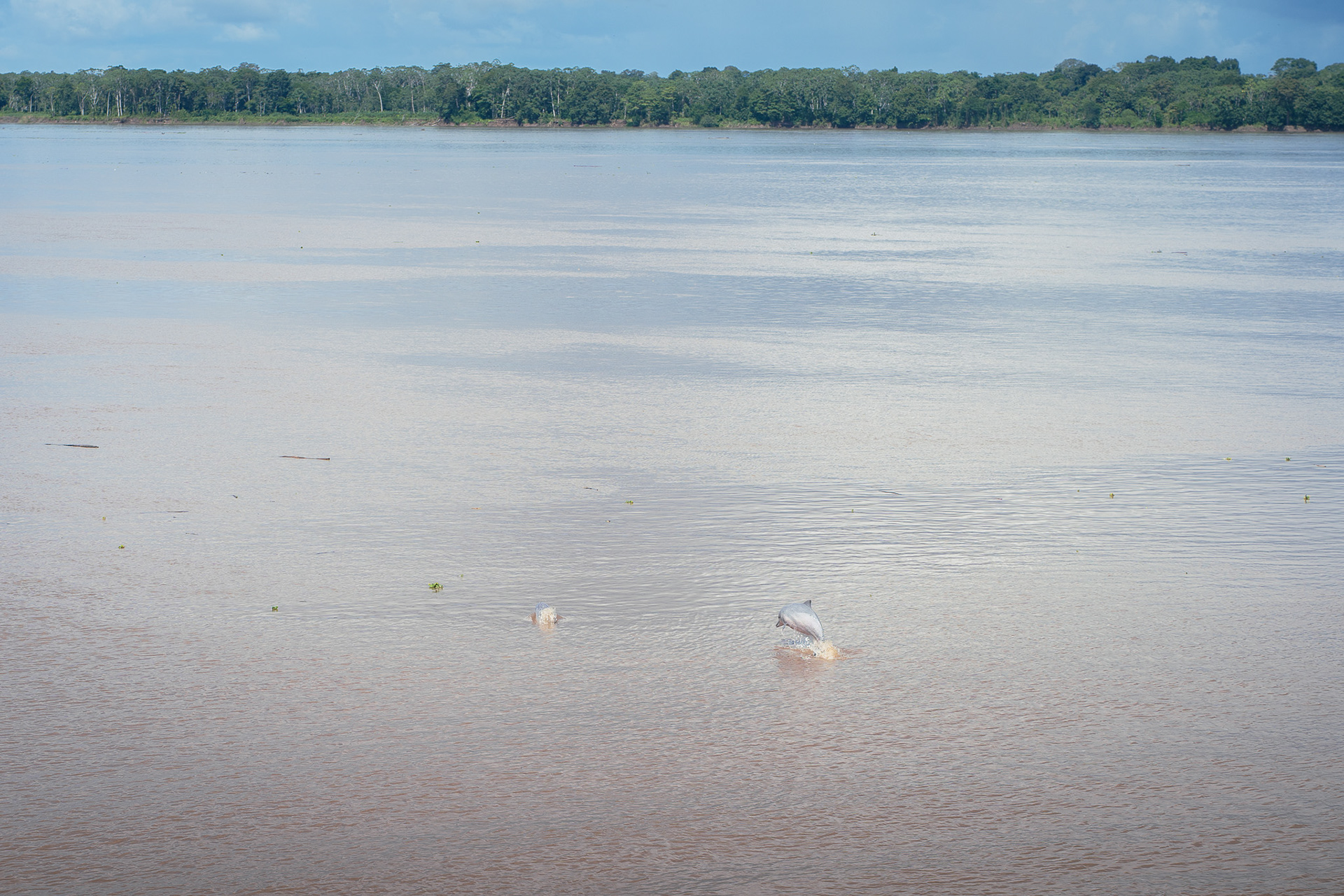 Amazonas, Peru
