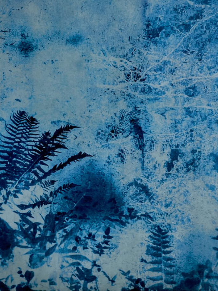 cyanotype, washi, digital negative