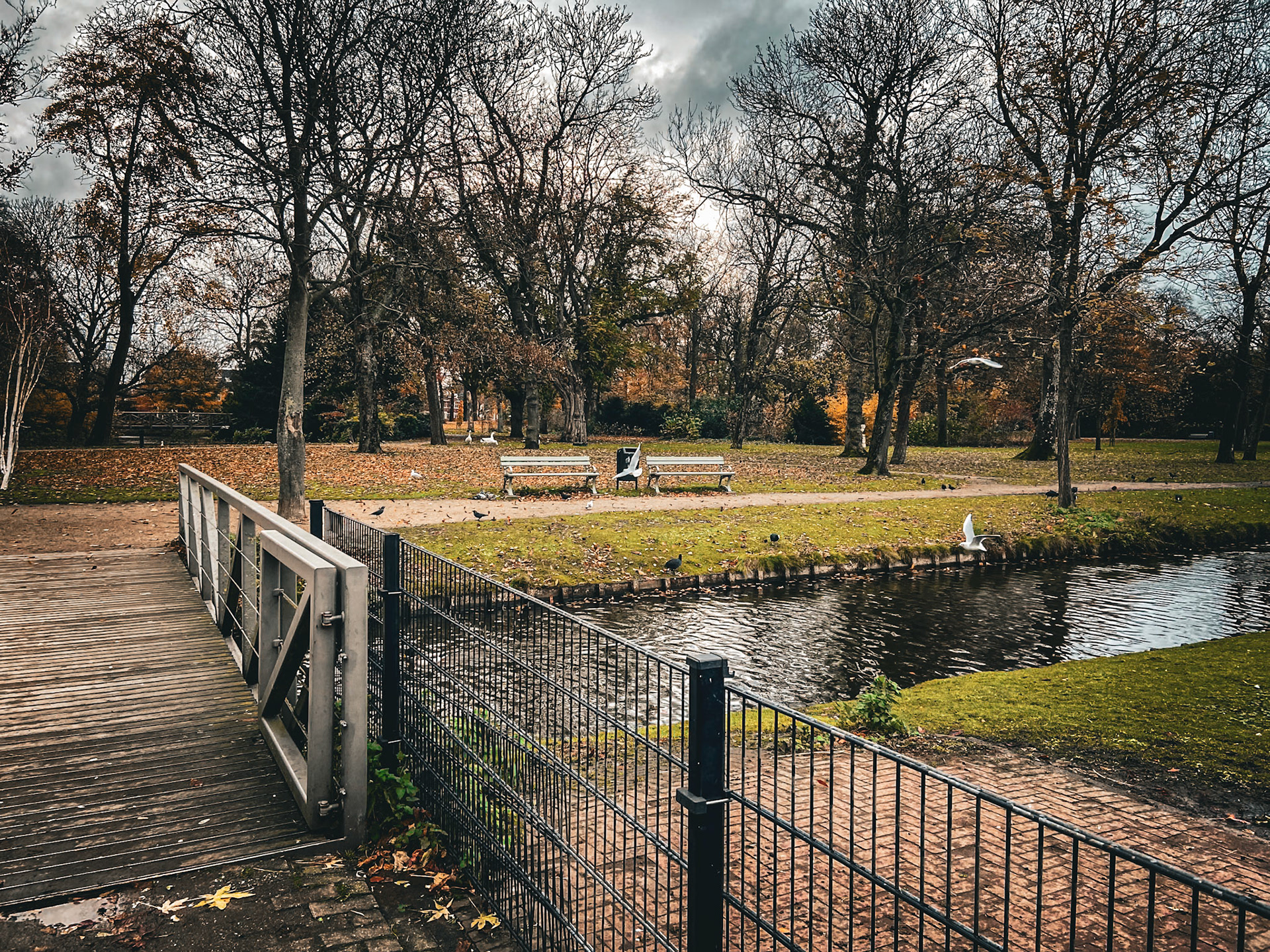Oranjepark Vlaardingen