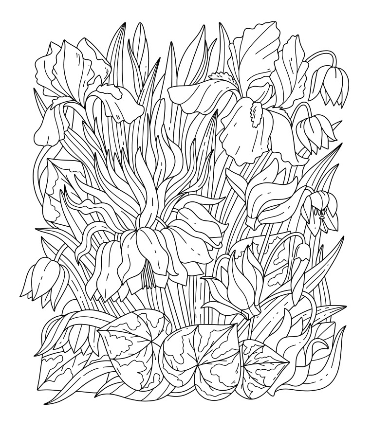 Garden Flowers -  Coloring Illustration for EMF Verlag