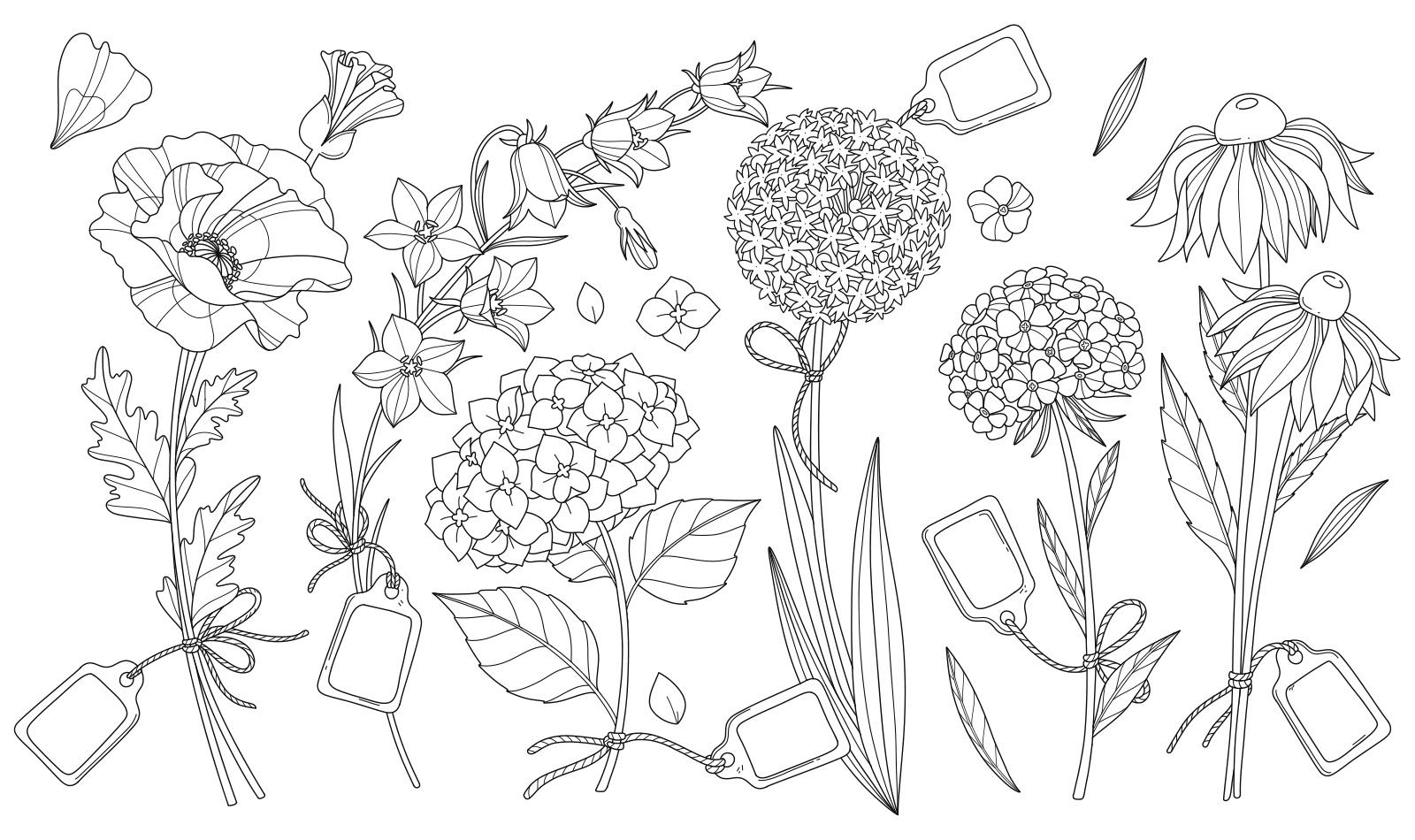 Garden Flowers -  Coloring Illustration for EMF Verlag