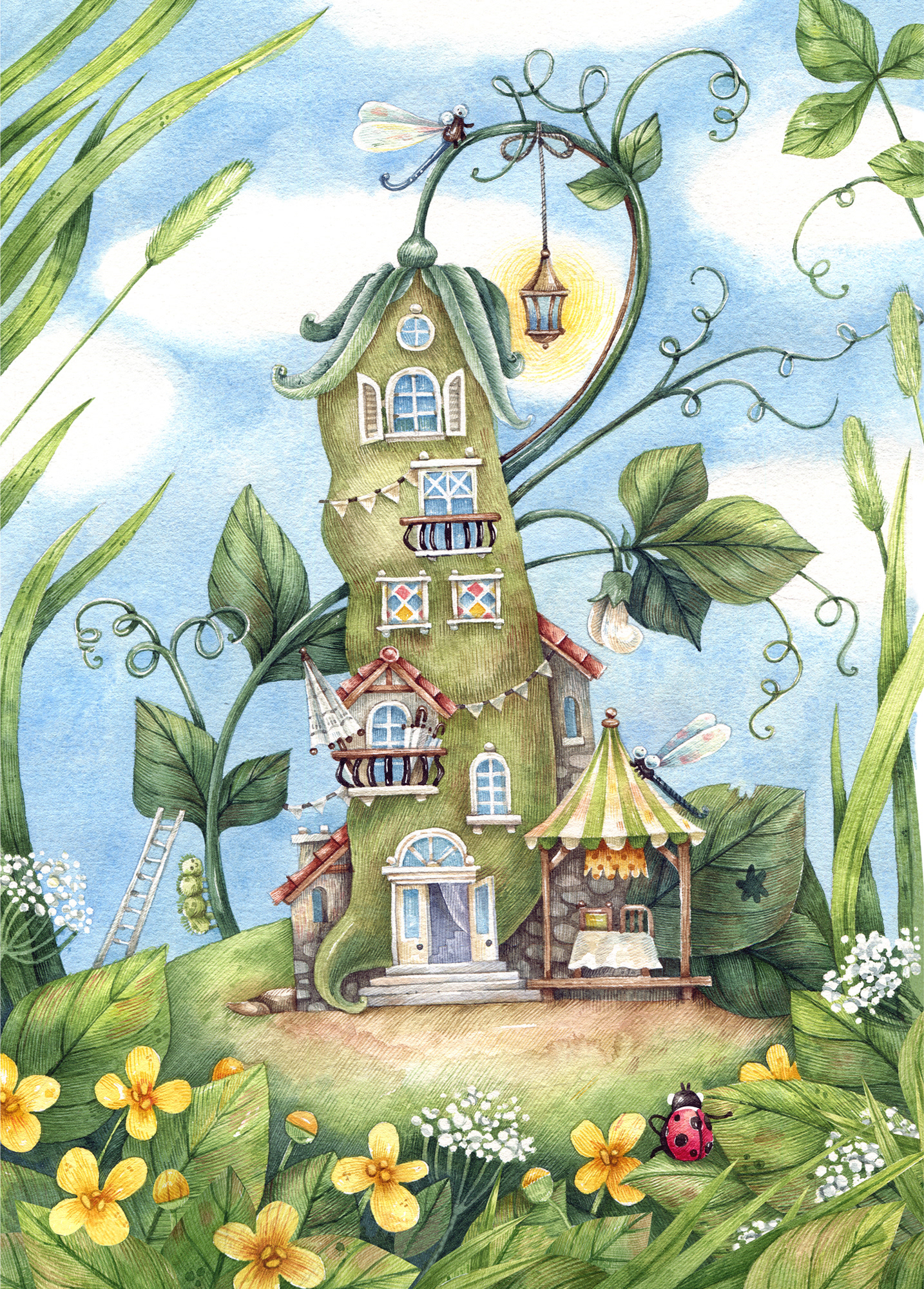 Illustration for the book “Beans”, published by Polyandria