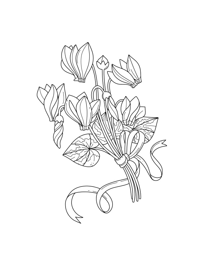 Garden Flowers -  Coloring Illustration for EMF Verlag