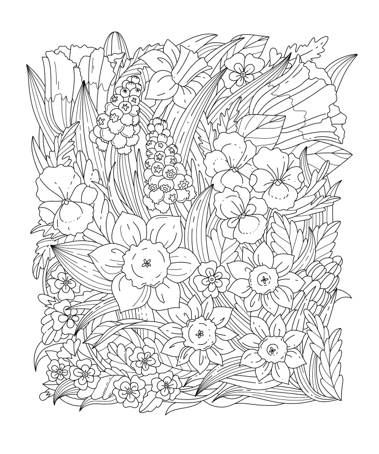 Garden Flowers -  Coloring Illustration for EMF Verlag