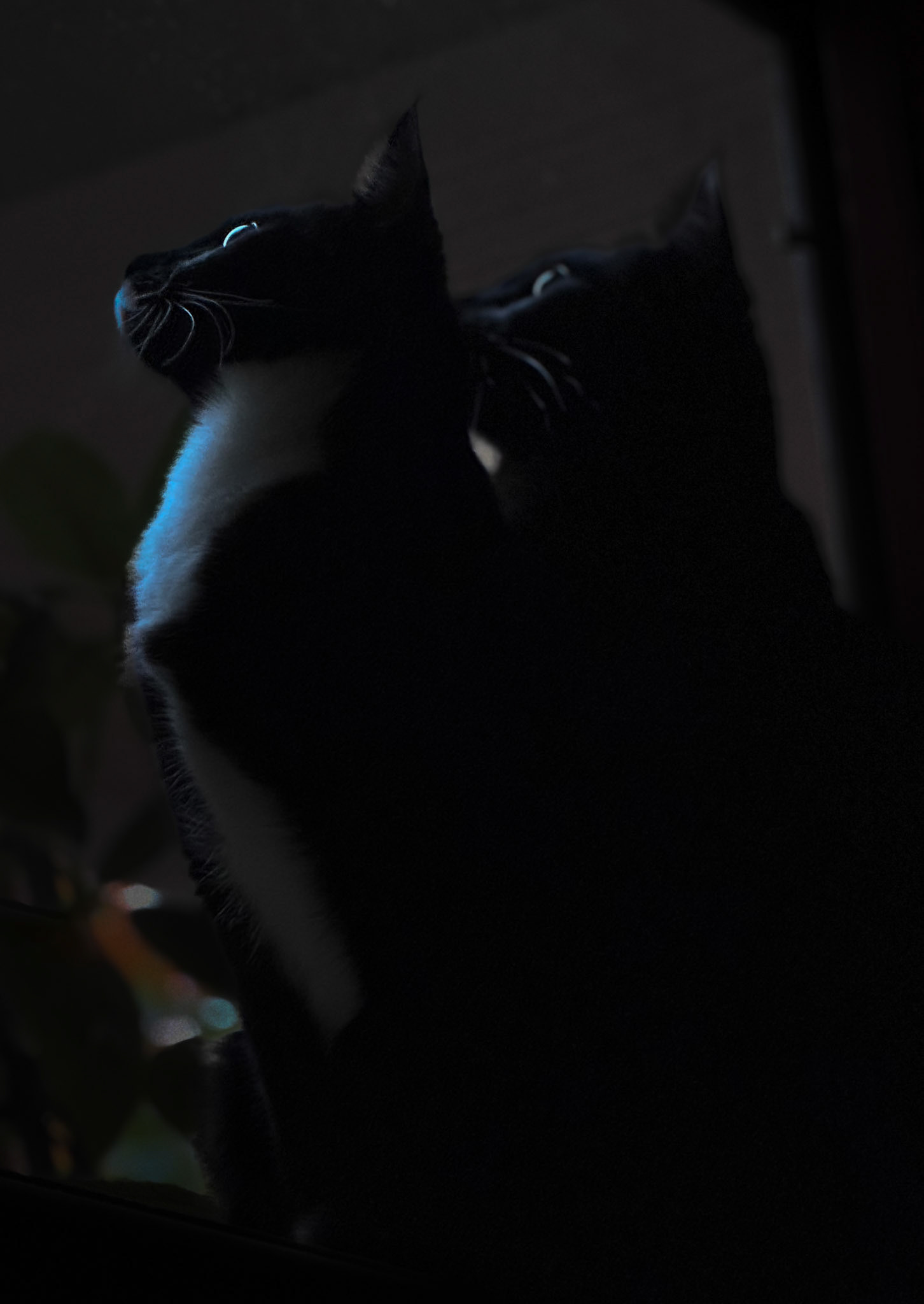 Reflection and witness; night and self folded into one gaze.