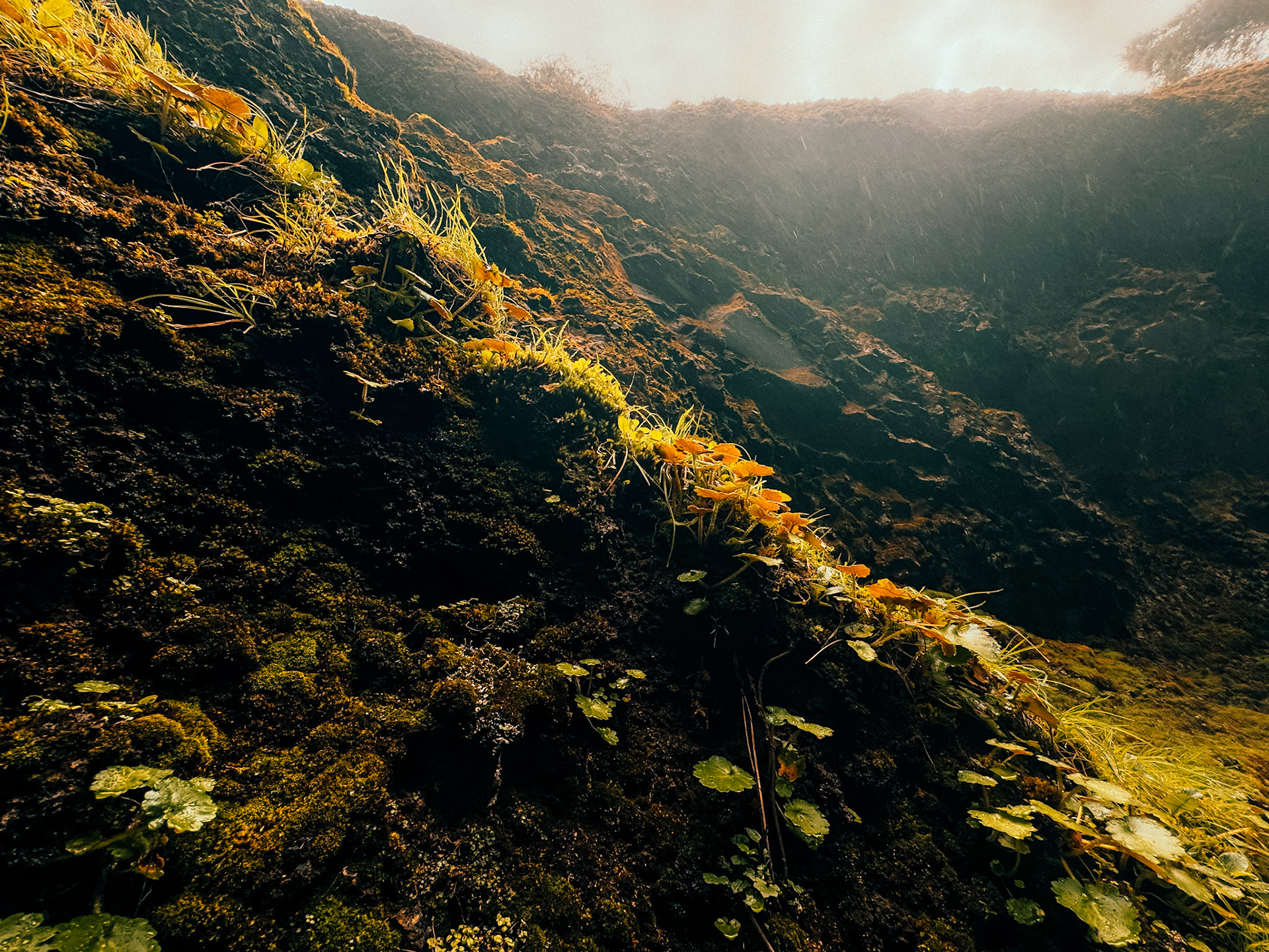 Where mist becomes music and leaves turn to flame.