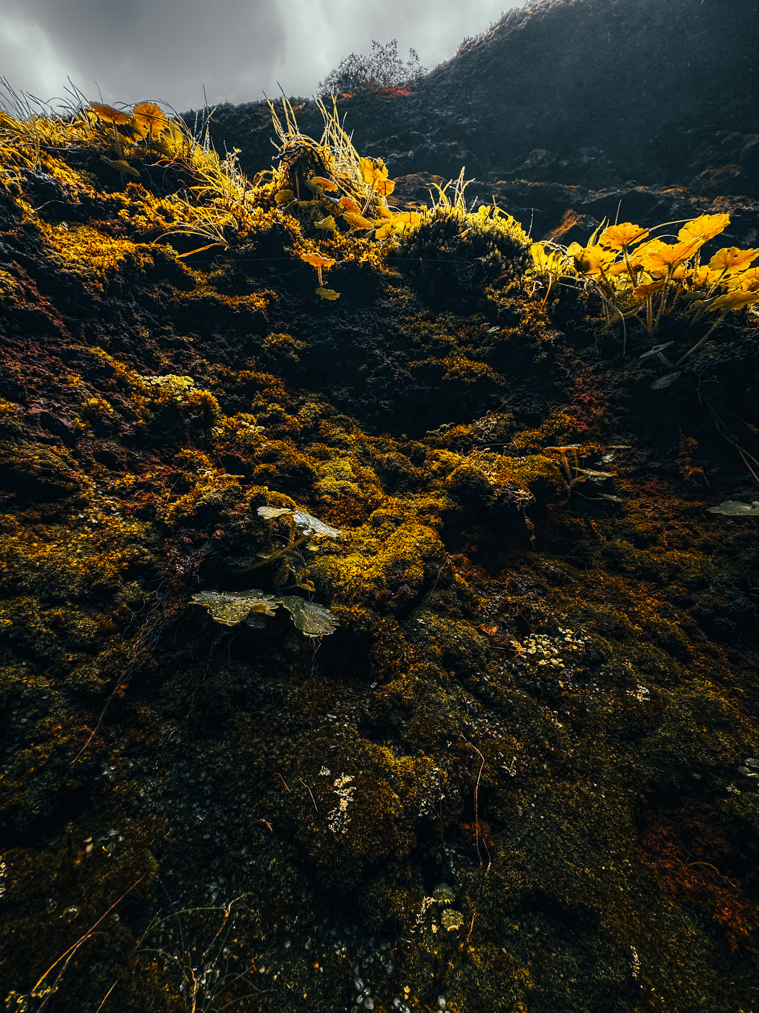 Between breath and silence—the heart of the collection.
