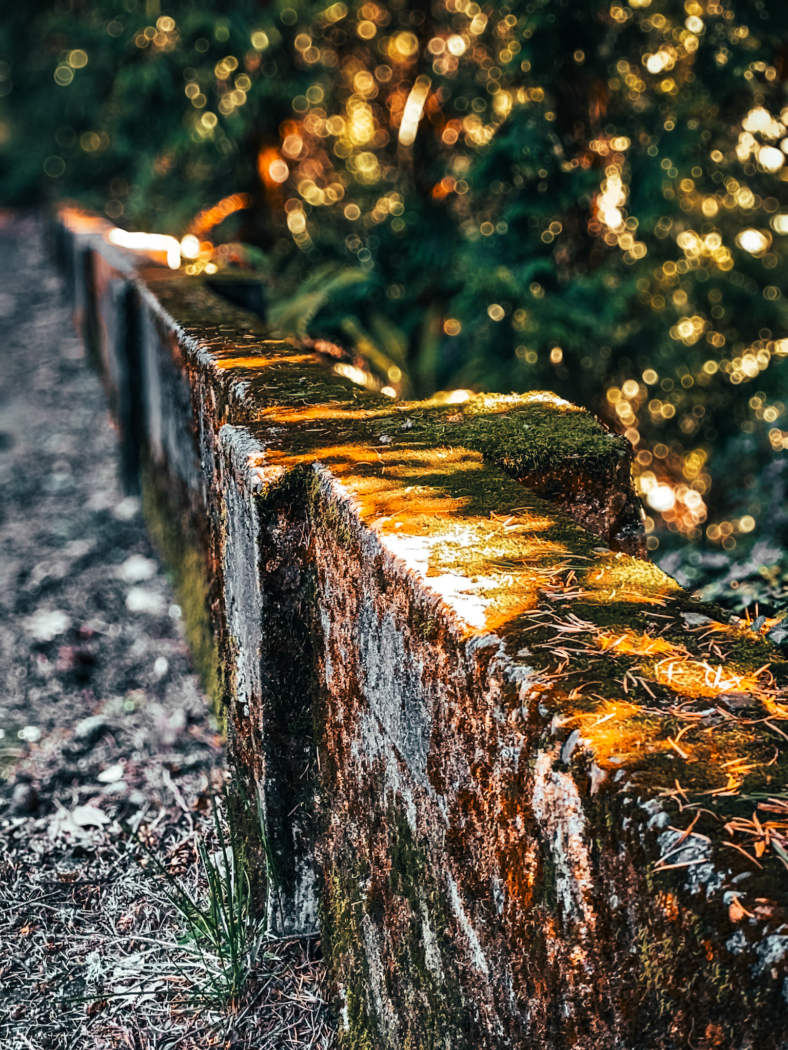 Time grown soft; light spilling over stone like recollection.