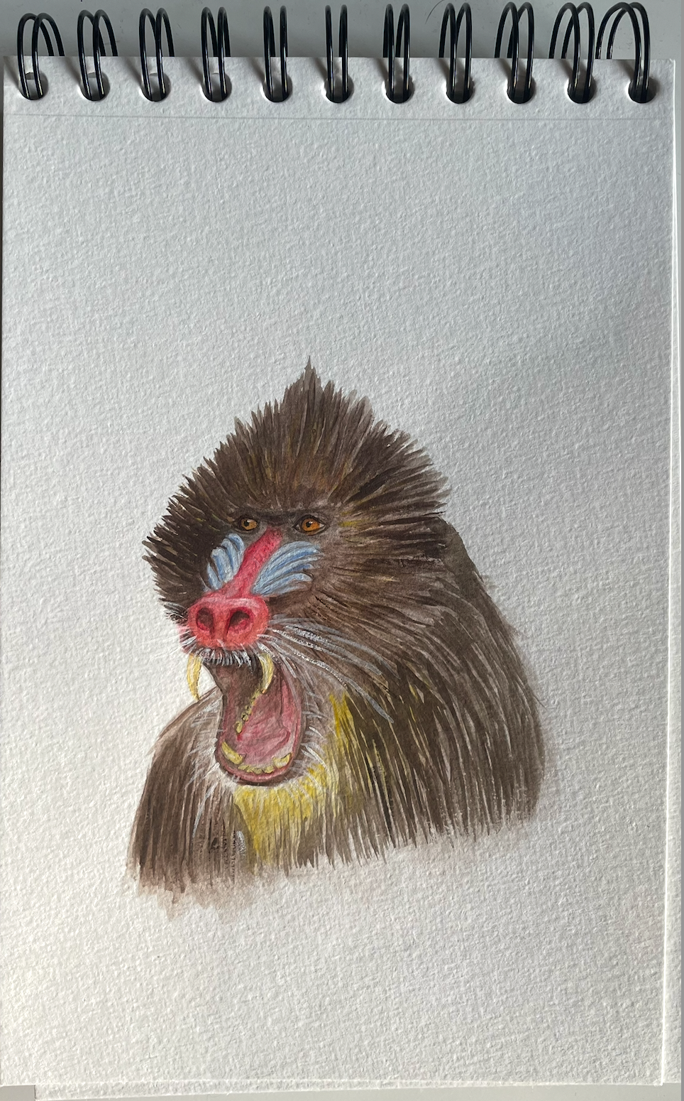 Gouache