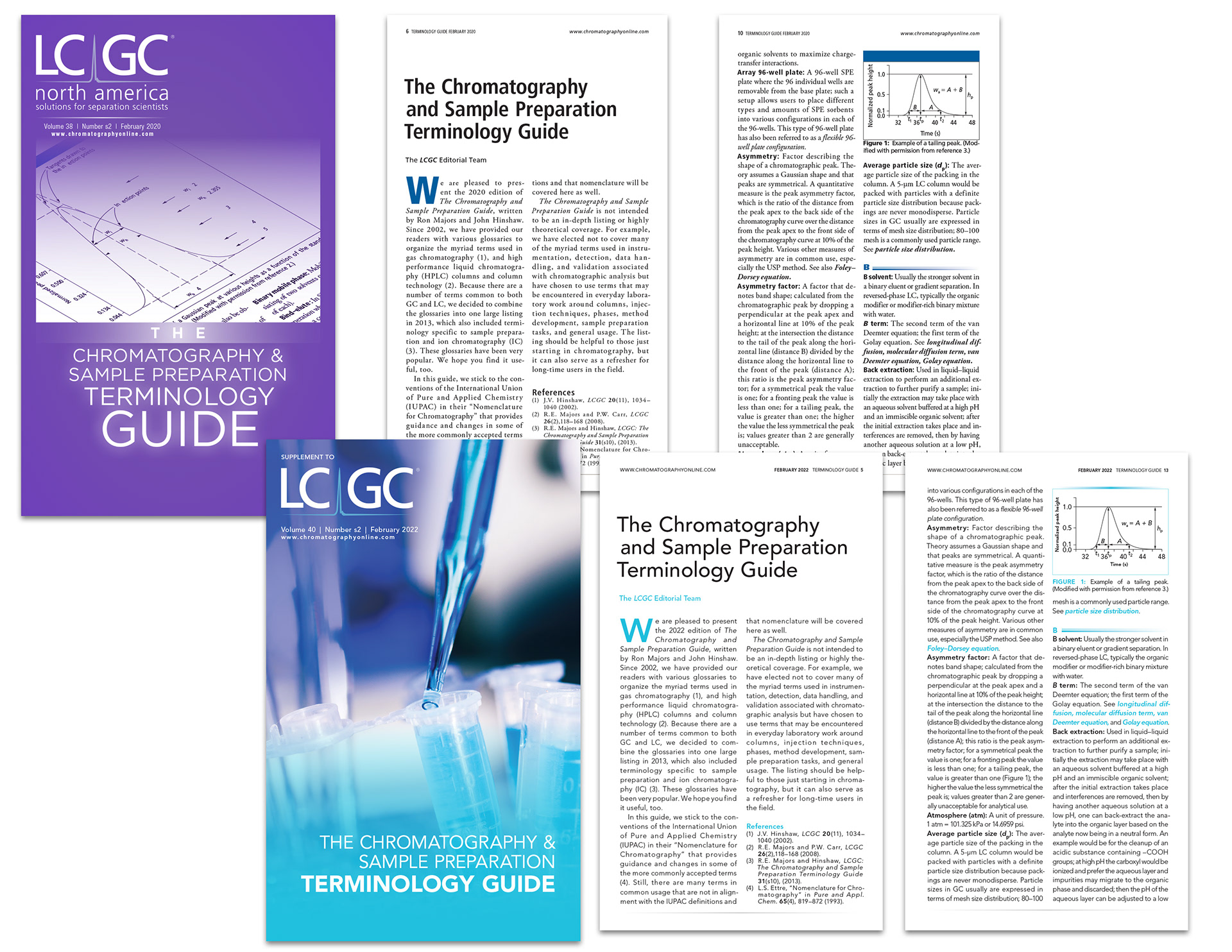 Old (Top) and New (Bottom) Terminology Guide Supplement