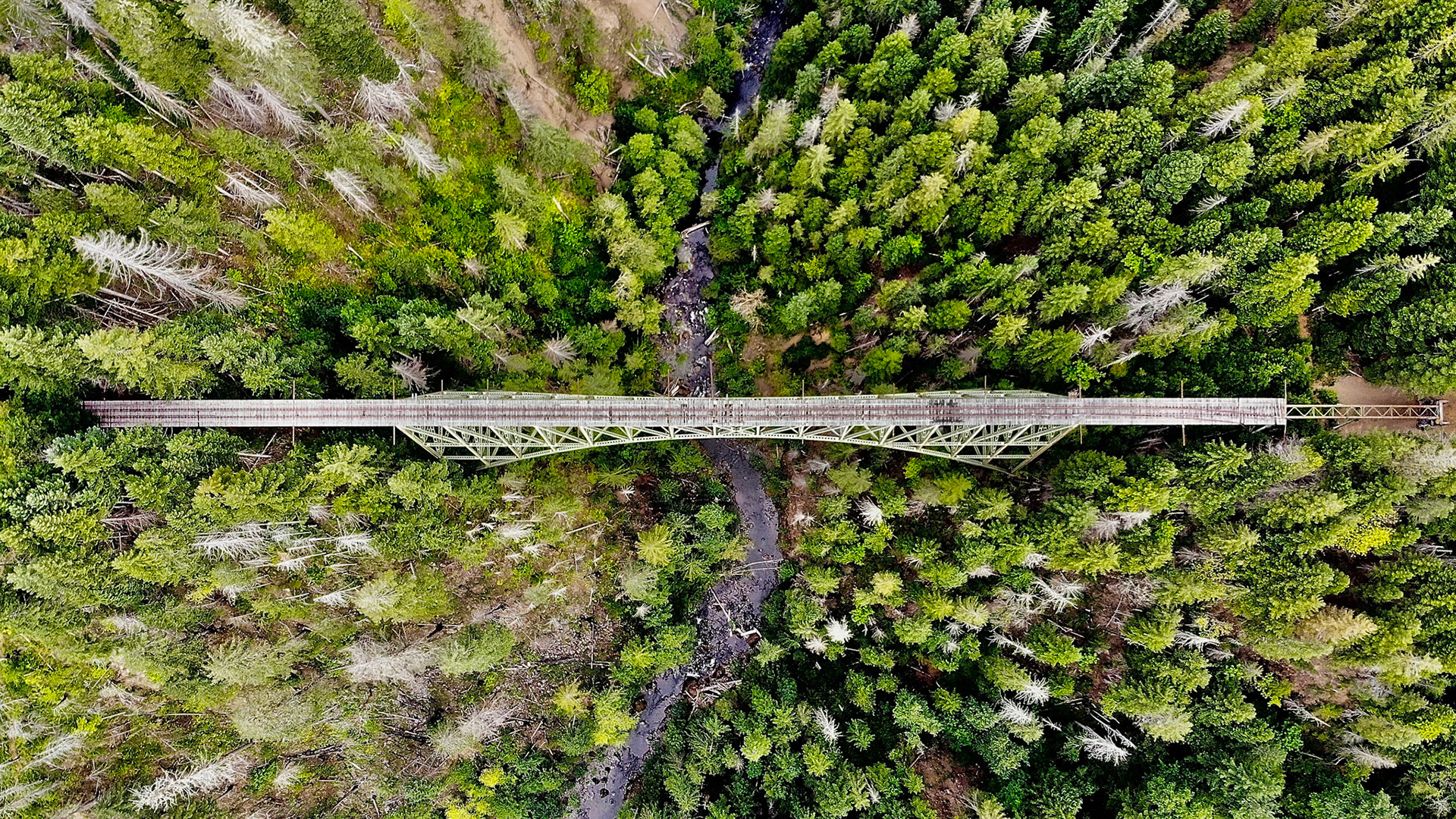 created by dji camera