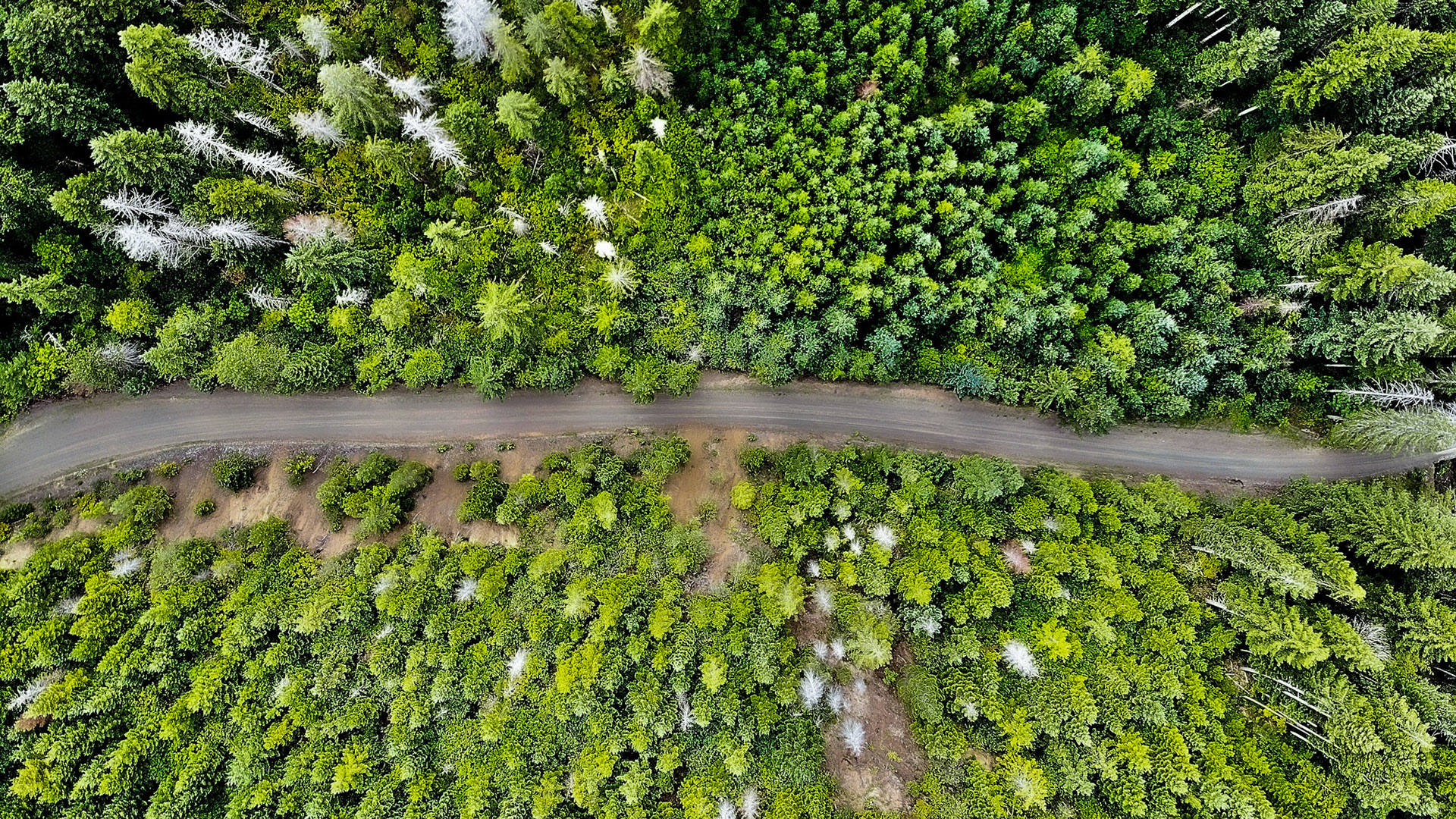created by dji camera