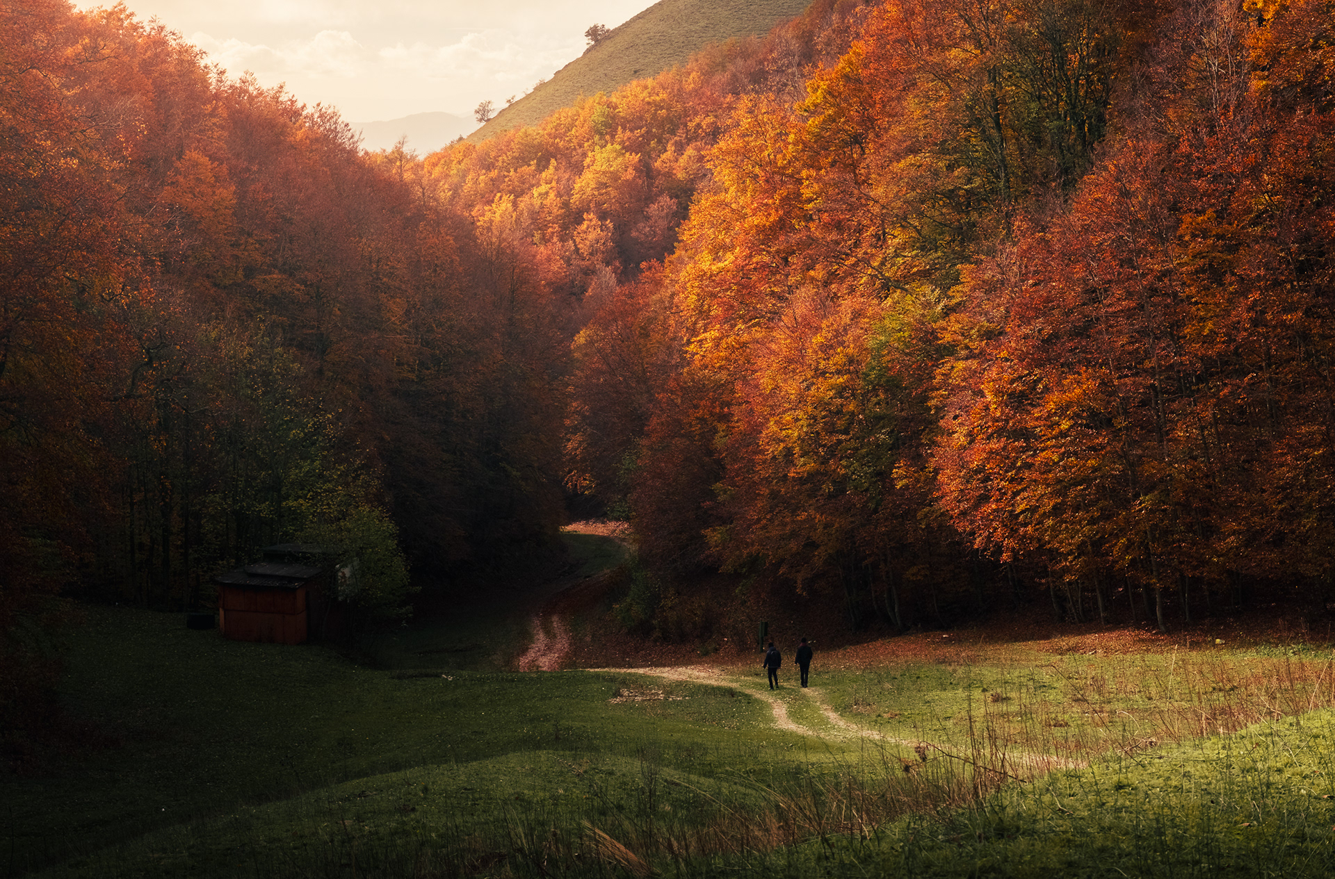 Sentiero verso la faggeta del monte Terminillo in autunno