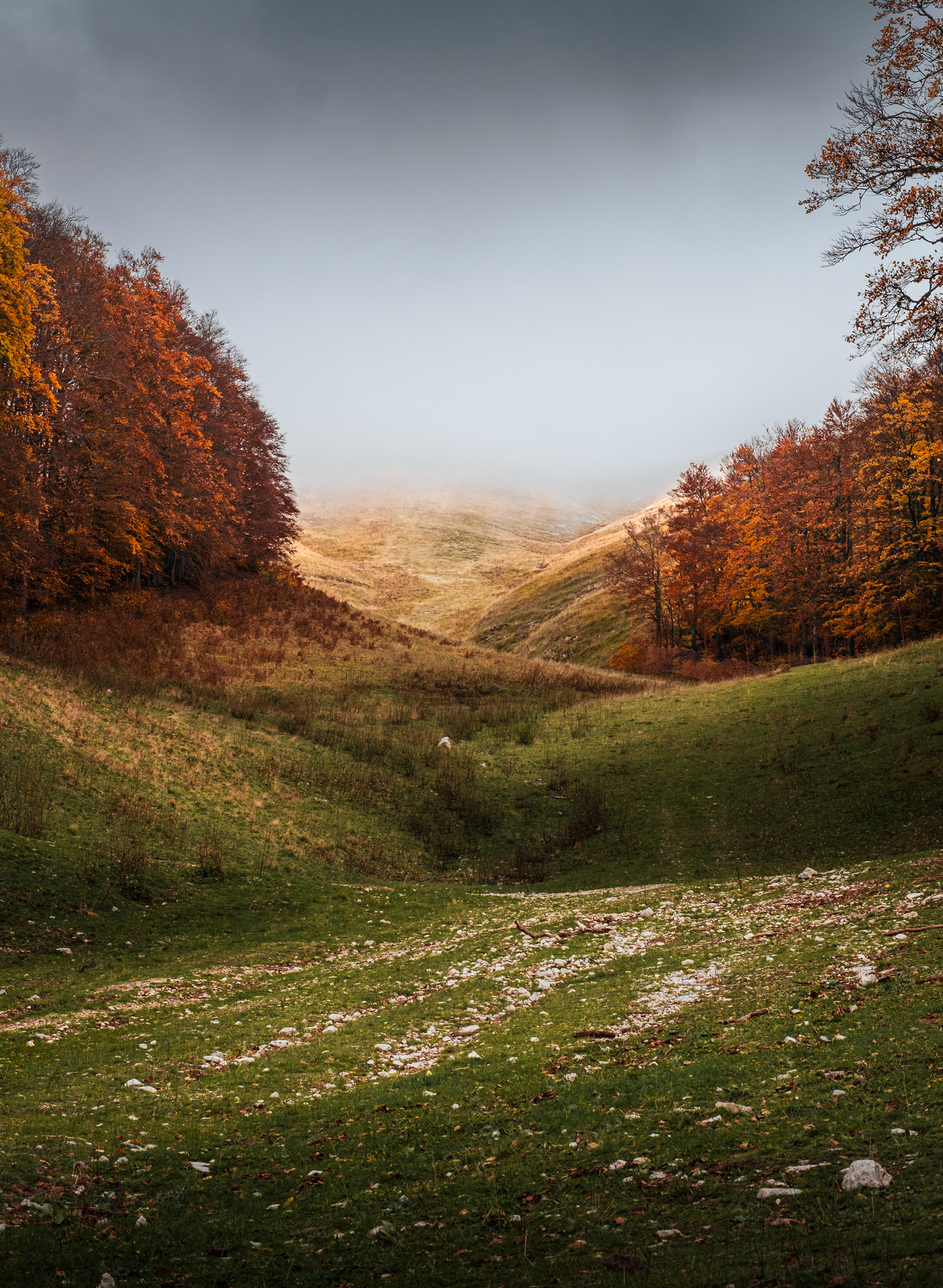 Colline del Monte Terminillo sovrastate dalle nuvole con i faggi colorati ai lati dell'immagine