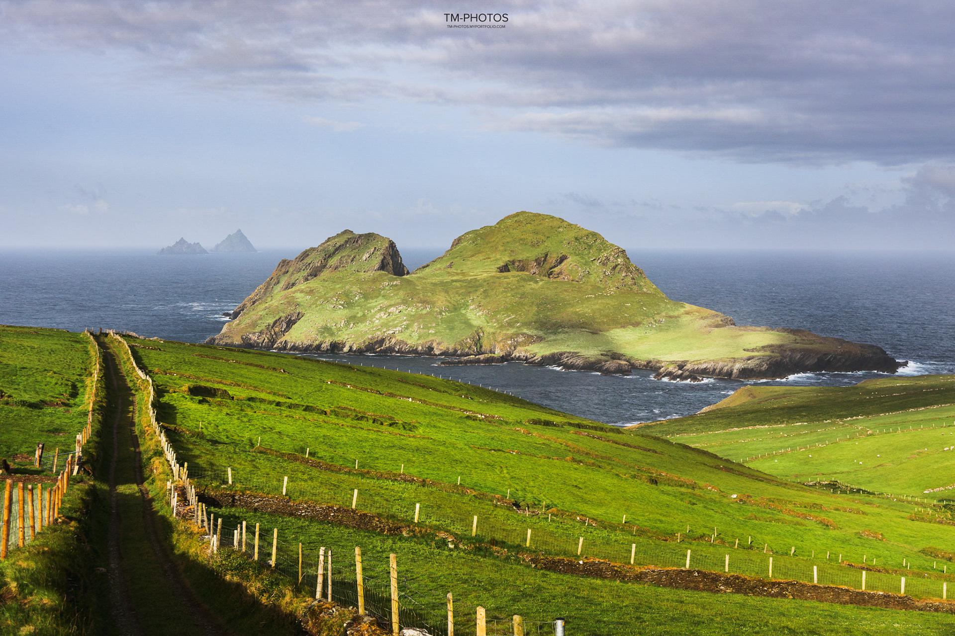 Puffin Island