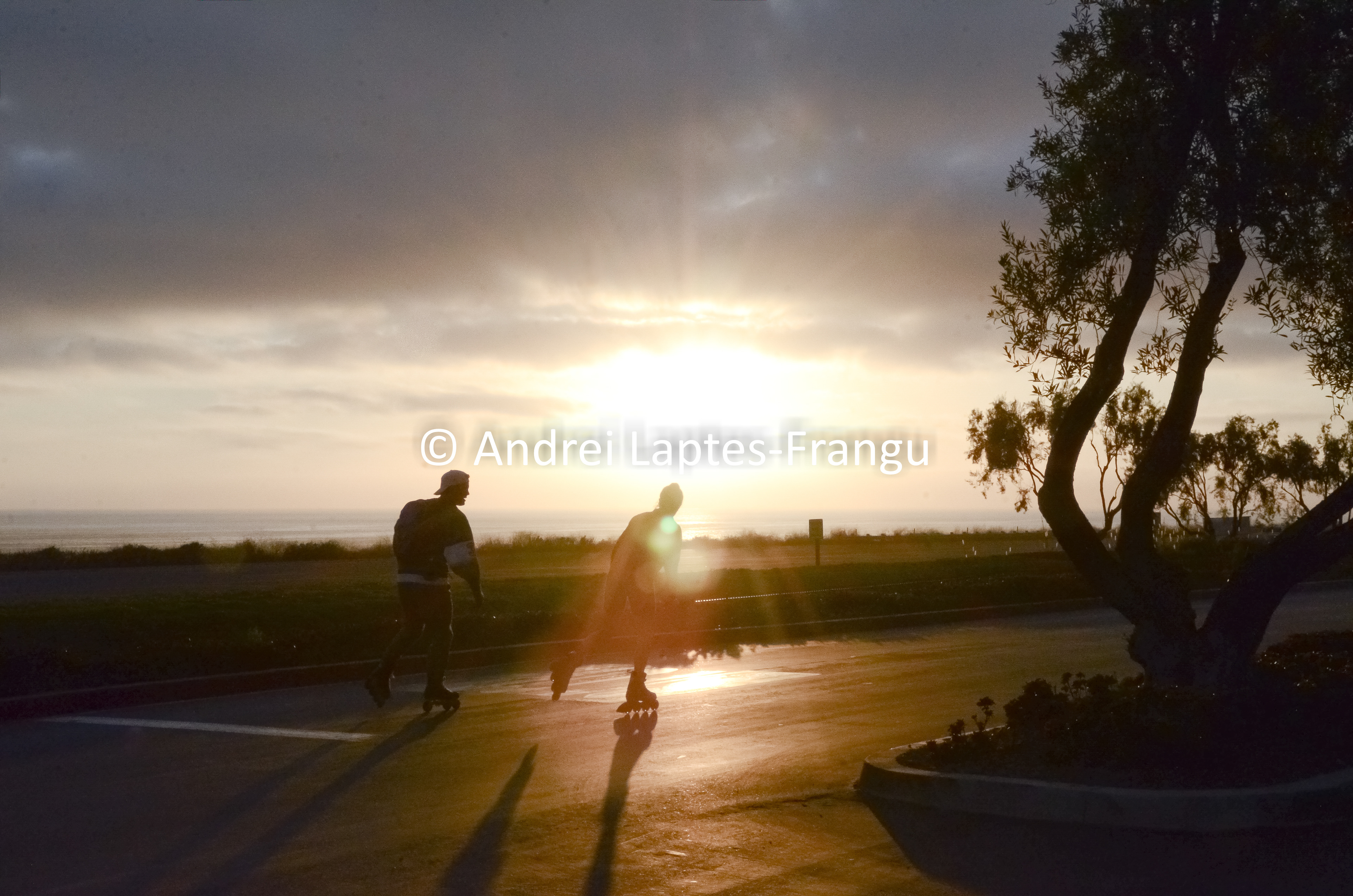 Sunset Skaters
