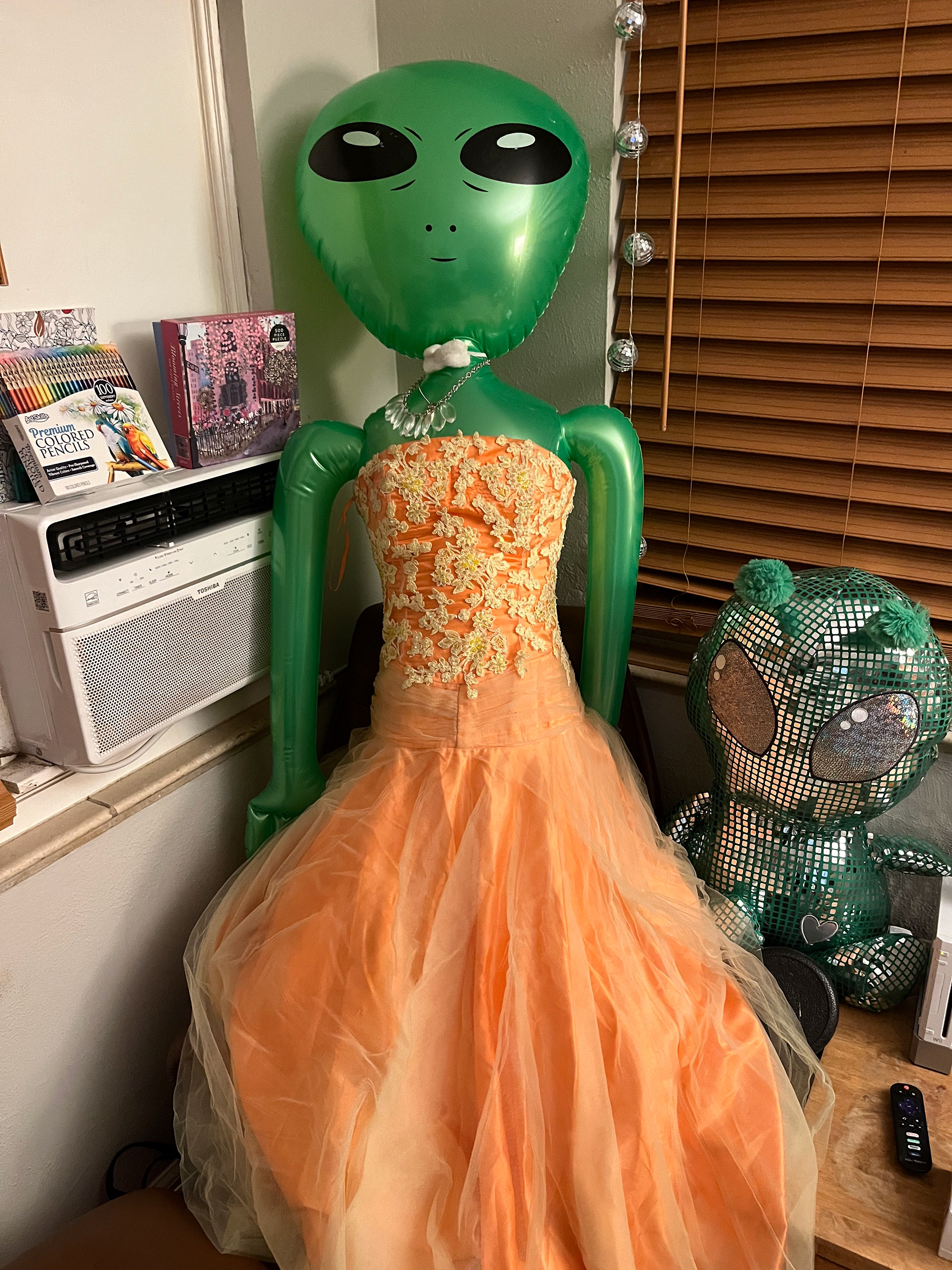 I won "Prom Queen" in this dress.