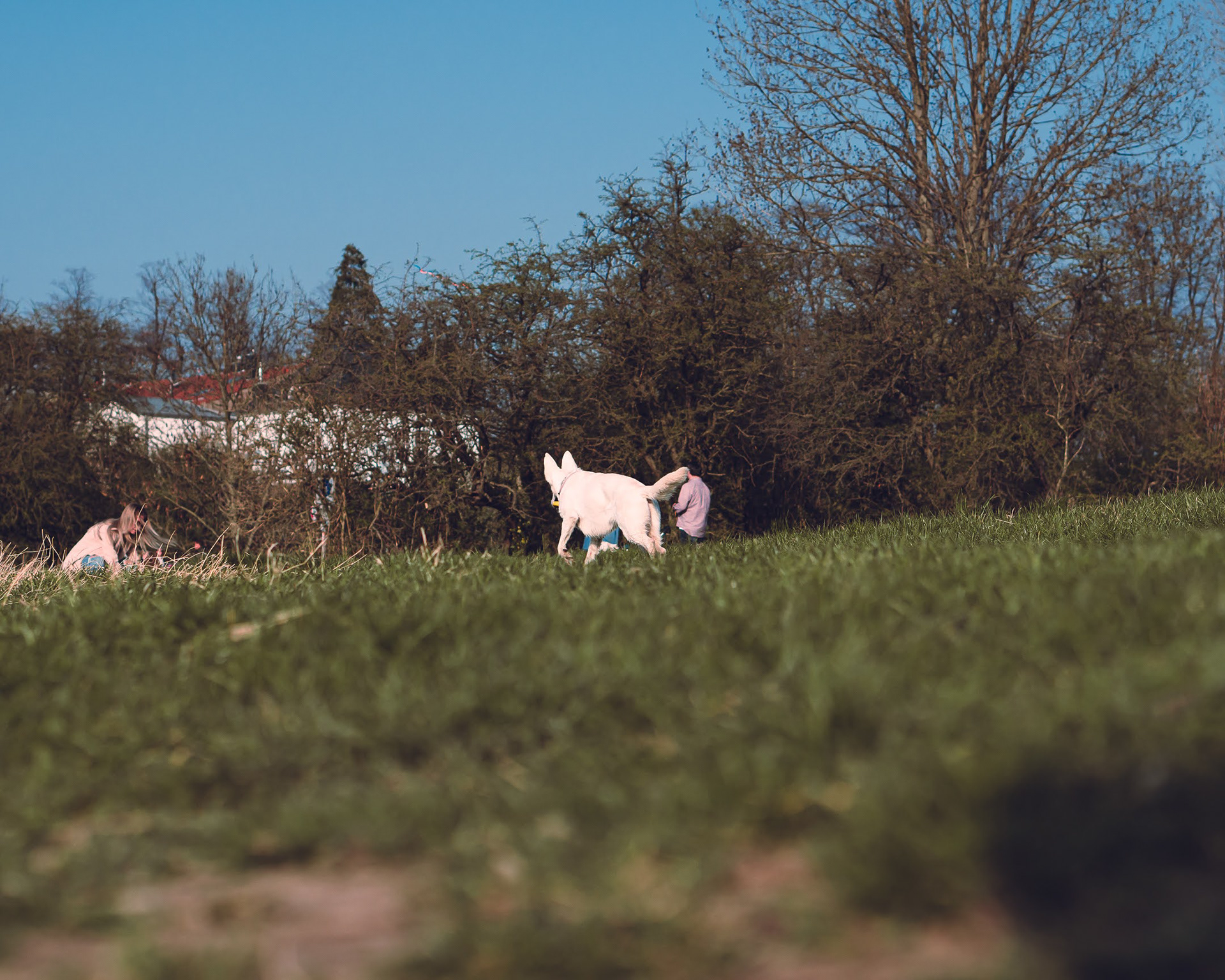 Tierfotografie
