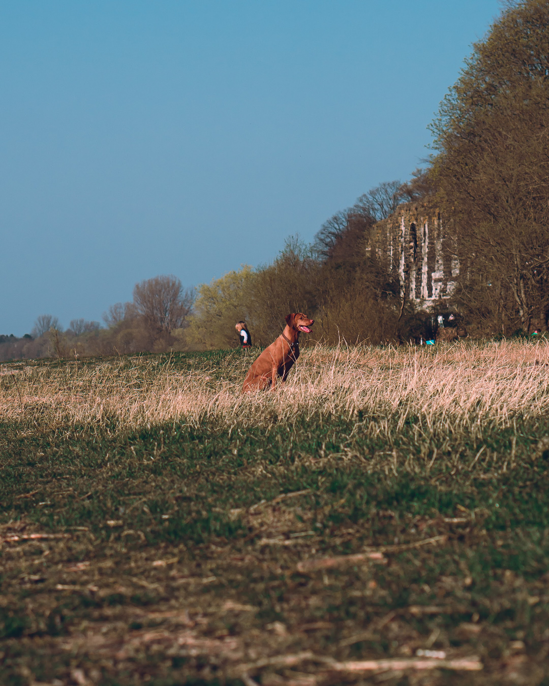 Tierfotografie