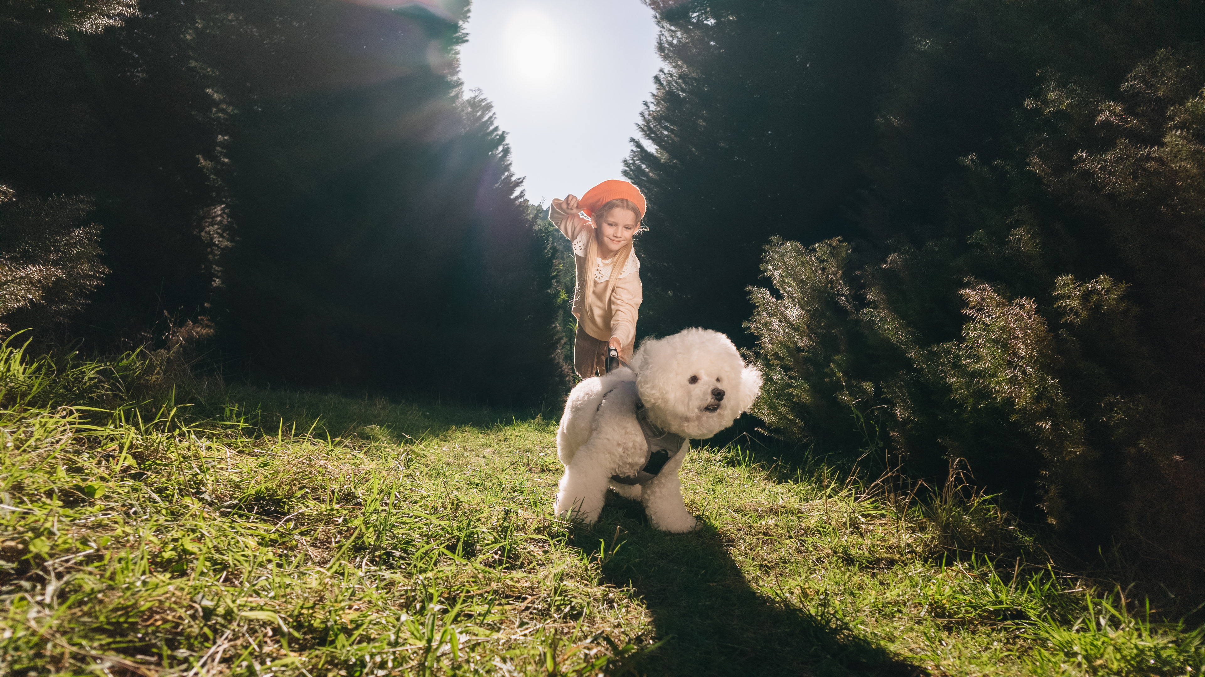 DJI Osmo Pocket 3 Sample Image