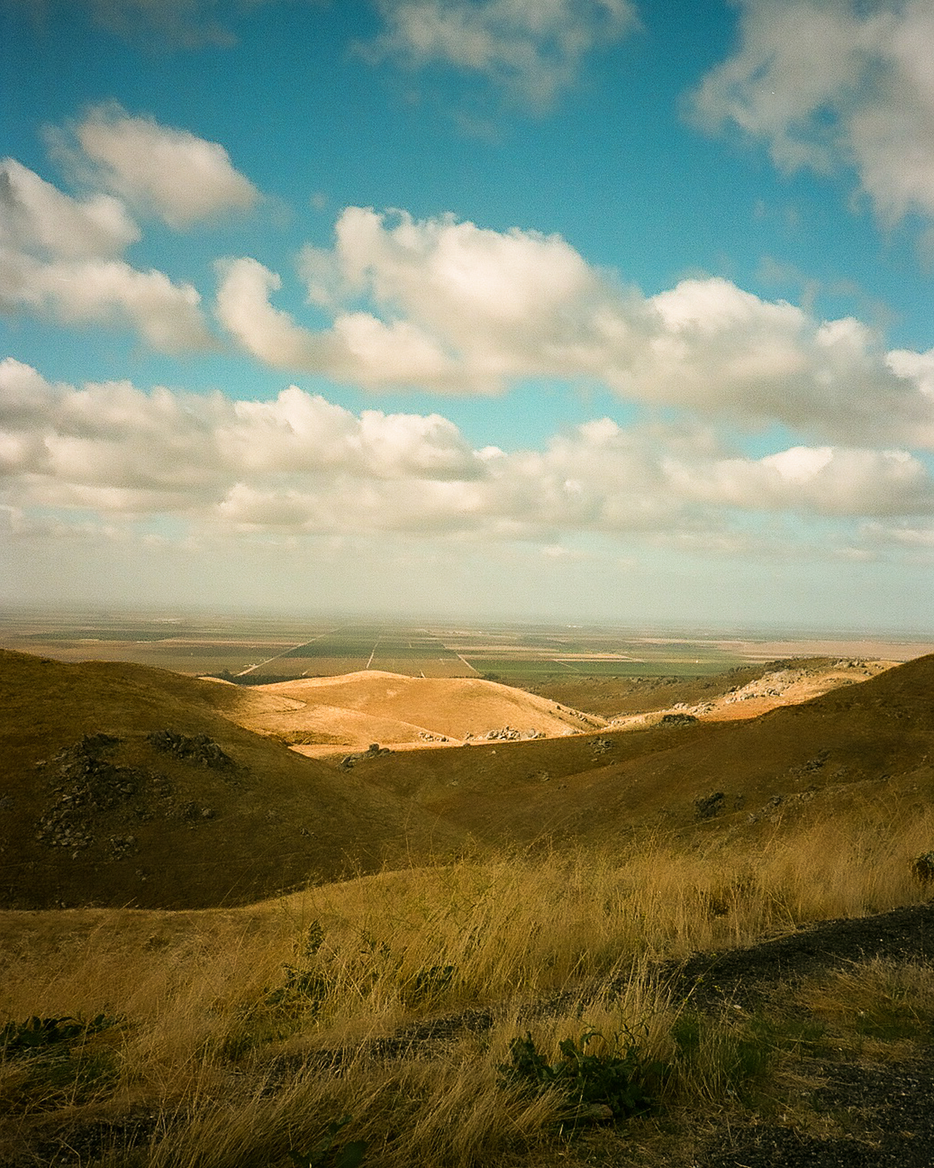 Rolling Dream No. 1 (2023) (Unshown)