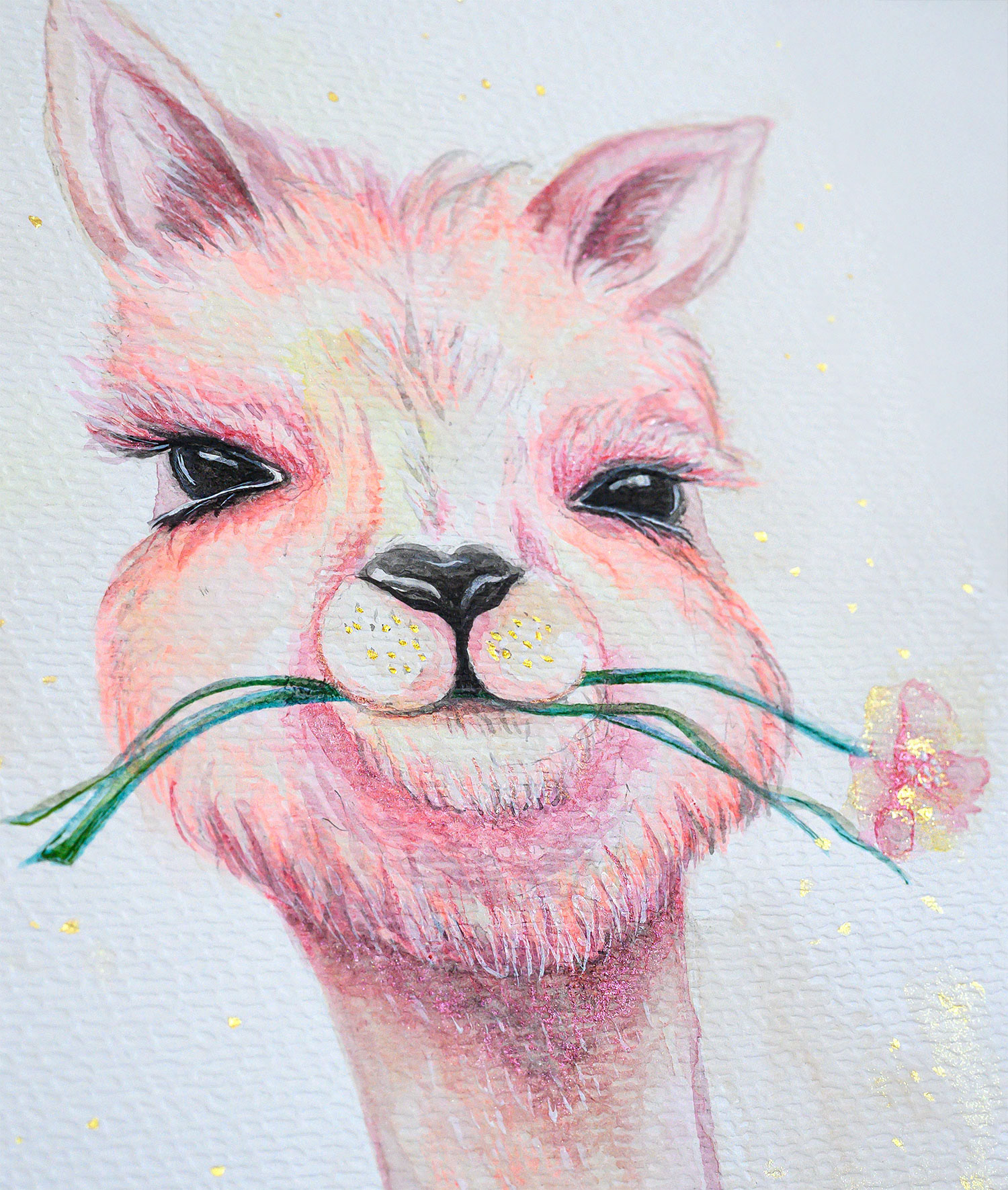 Aquarell – Alpaka Attitude