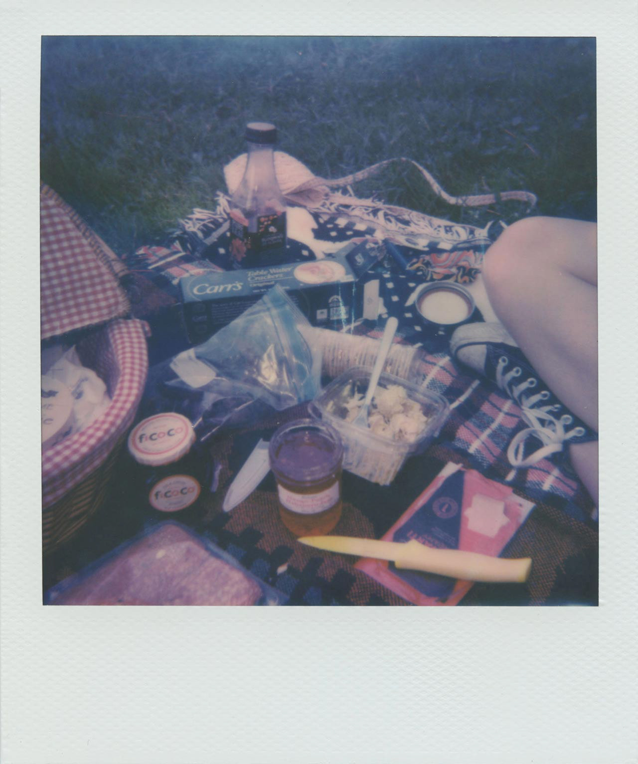 Picnic I