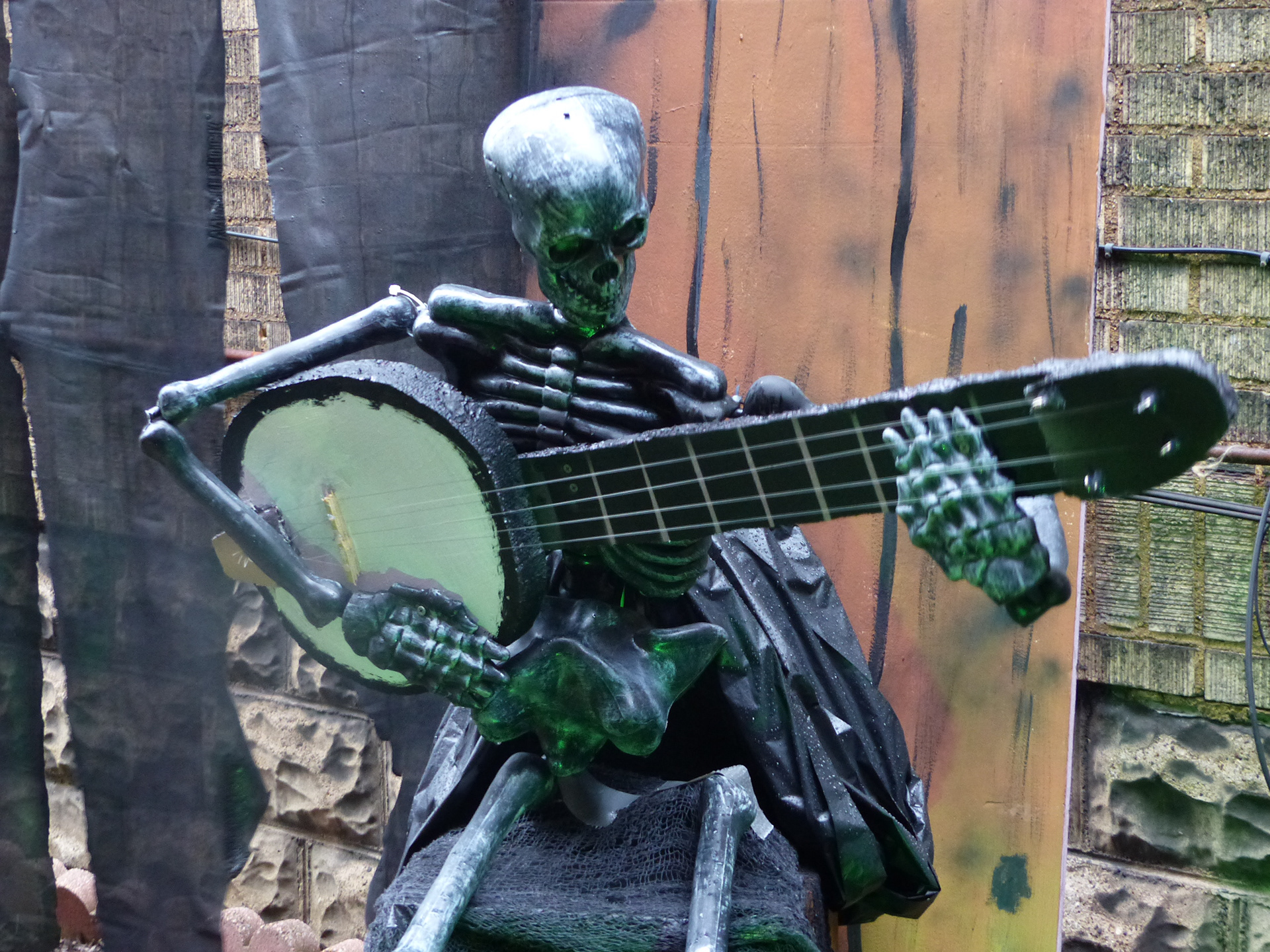 Banjo Playing Skeleton