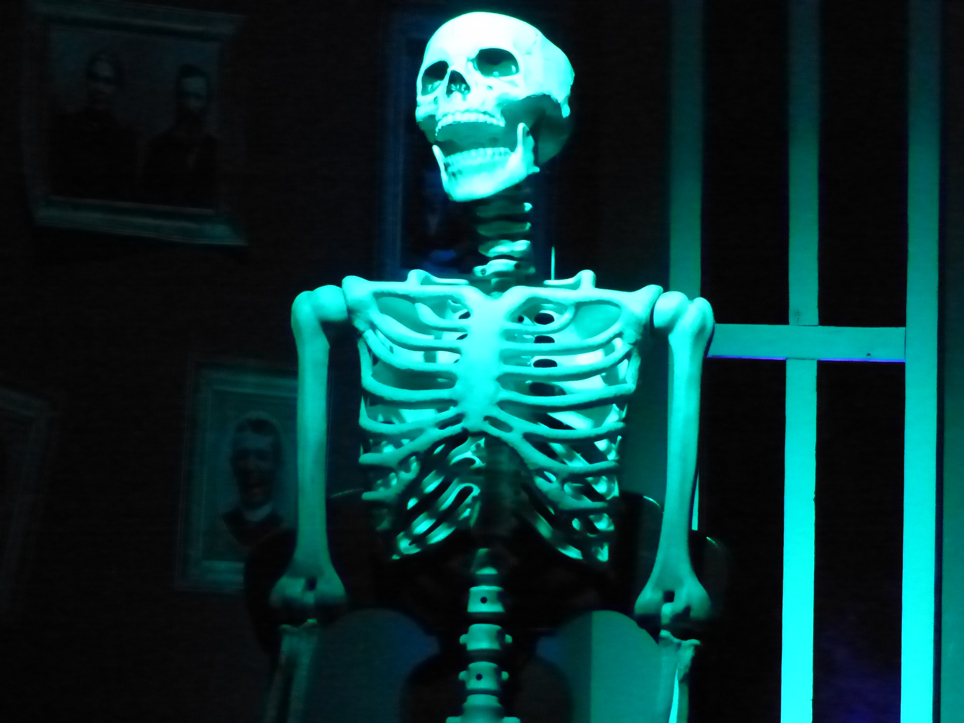 Animatronic Skull During Performance