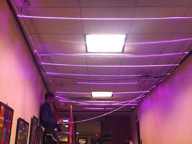 Sculpture in Magenta