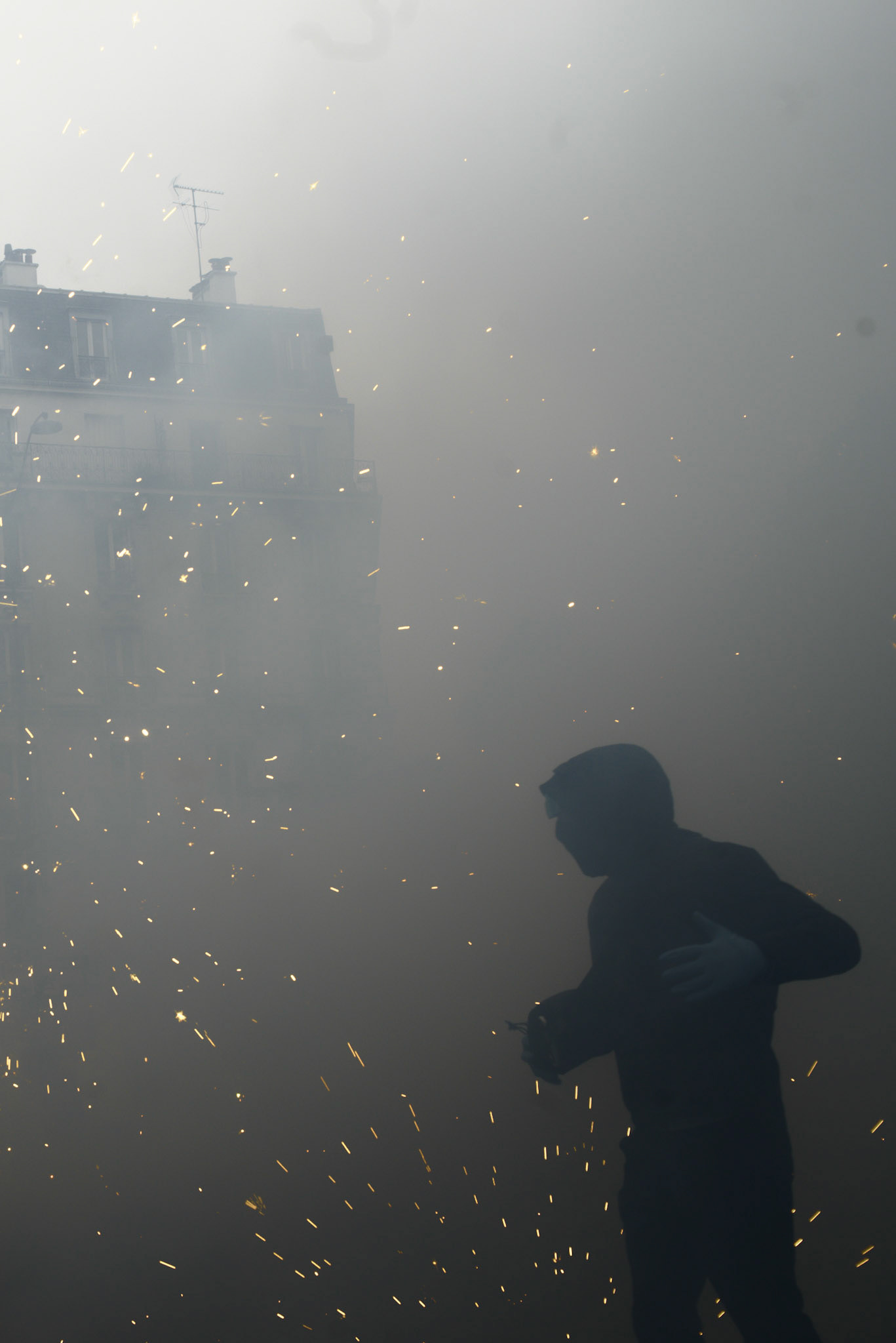 Free Gaza, Paris 2024