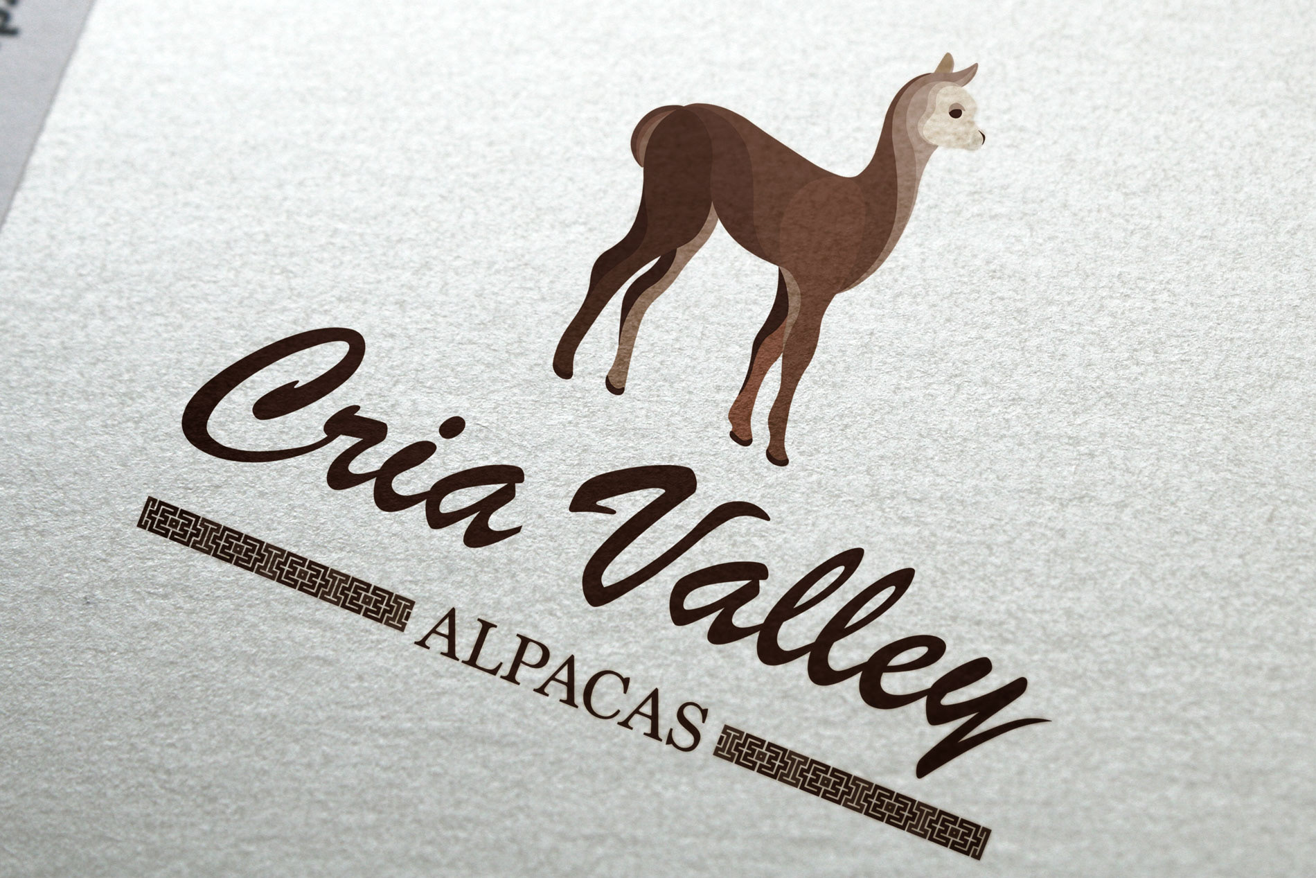 Branding Design