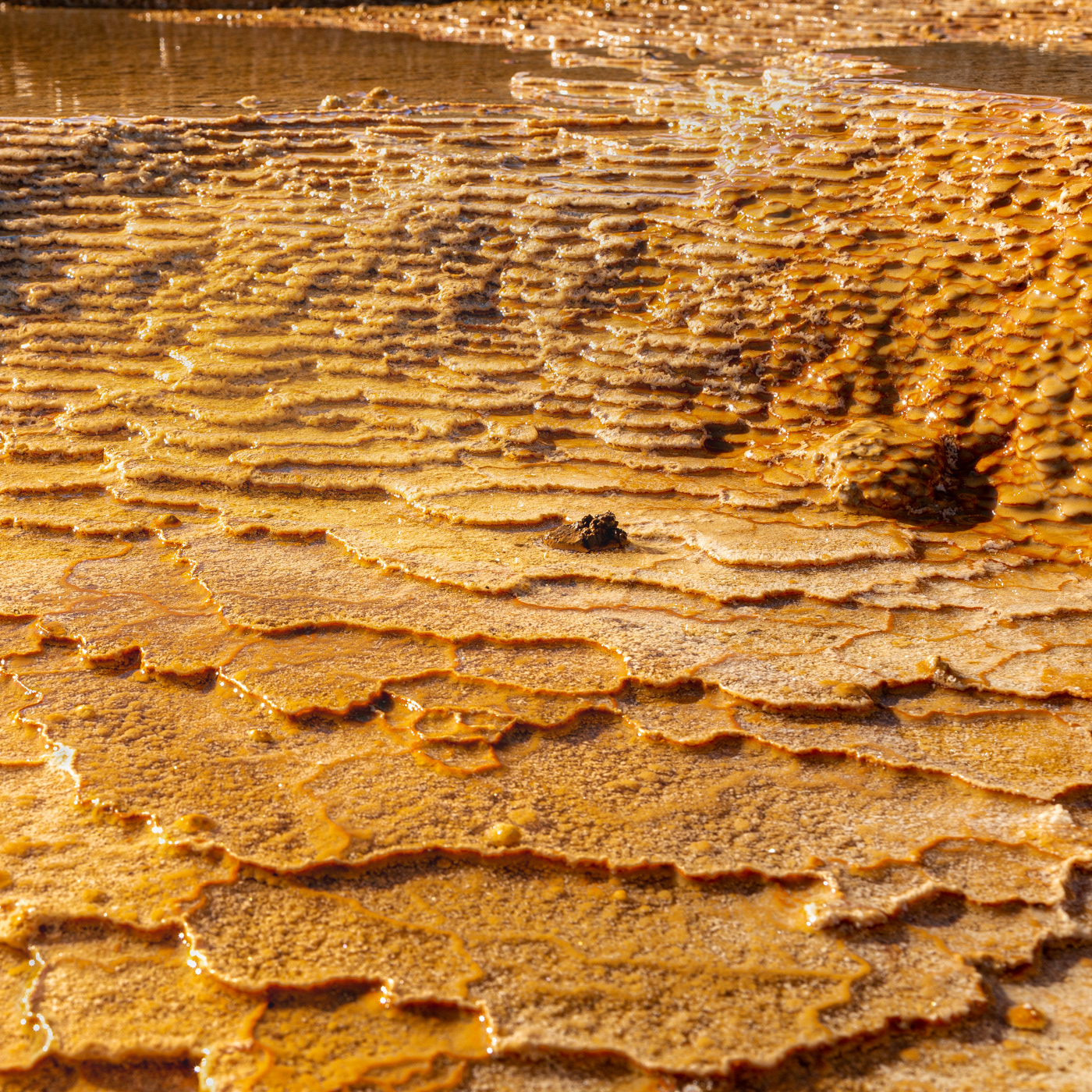 LIMESTONE LAND:黄金に輝く大地はまるで宇宙から見た地球の衛星写真のように見える。イラン、セムナーン近郊にある石灰岩(CaCO3)の棚田。 A rock made up mainly of calcium carbonate called lime stone spread out like shelves. The rocks made by mud and sand look like the earth. The rock is flooded with water and shines golden in front of me.