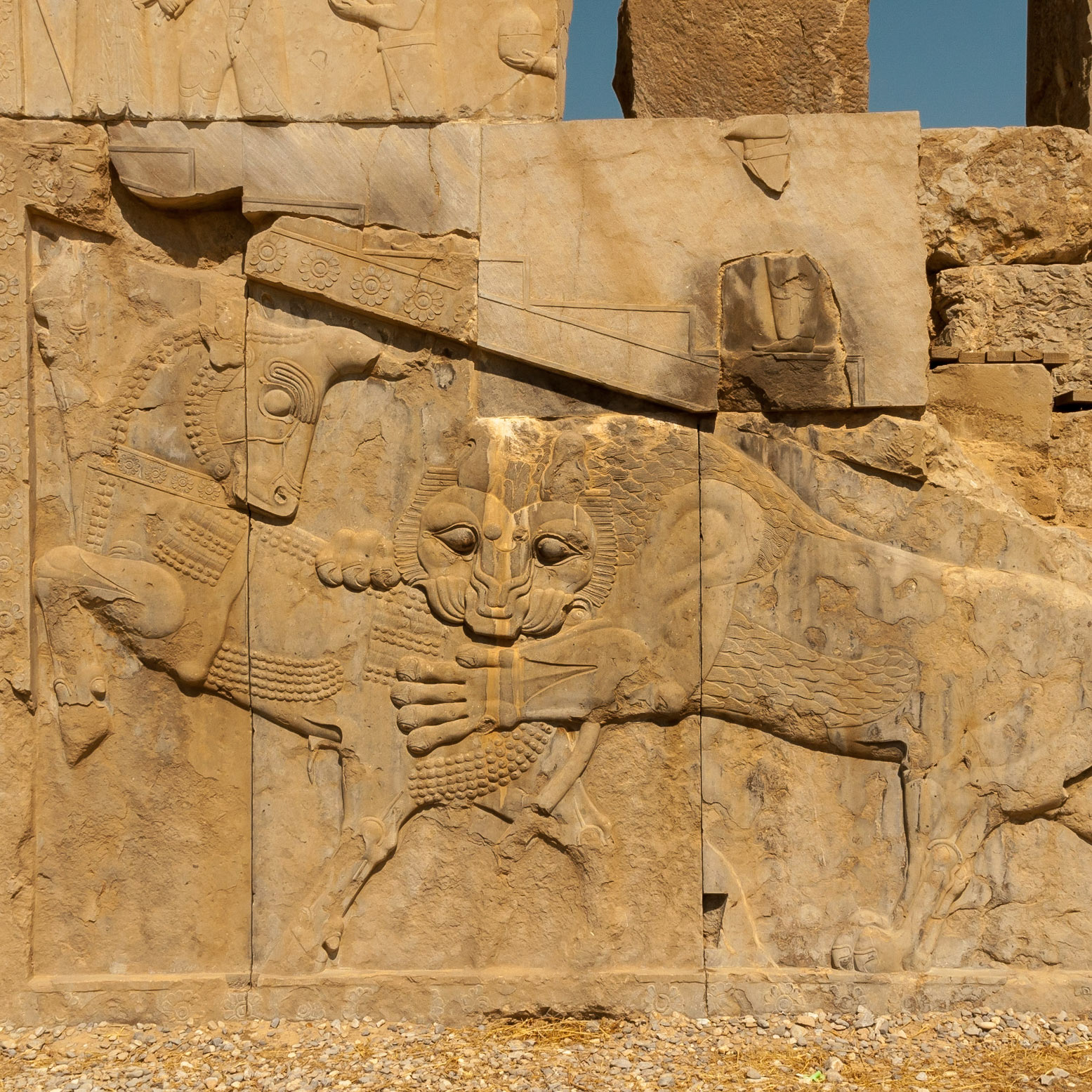 Persepolis, Iran, ペルセポリス, 遺跡, 浮き彫り