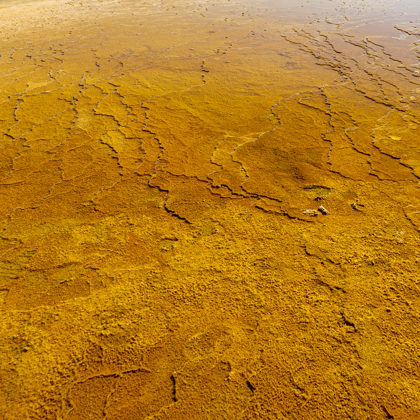 LIMESTONE LAND:黄金に輝く大地はまるで宇宙から見た地球の衛星写真のように見える。イラン、セムナーン近郊にある石灰岩(CaCO3)の棚田。 A rock made up mainly of calcium carbonate called lime stone spread out like shelves. The rocks made by mud and sand look like the earth. The rock is flooded with water and shines golden in front of me.