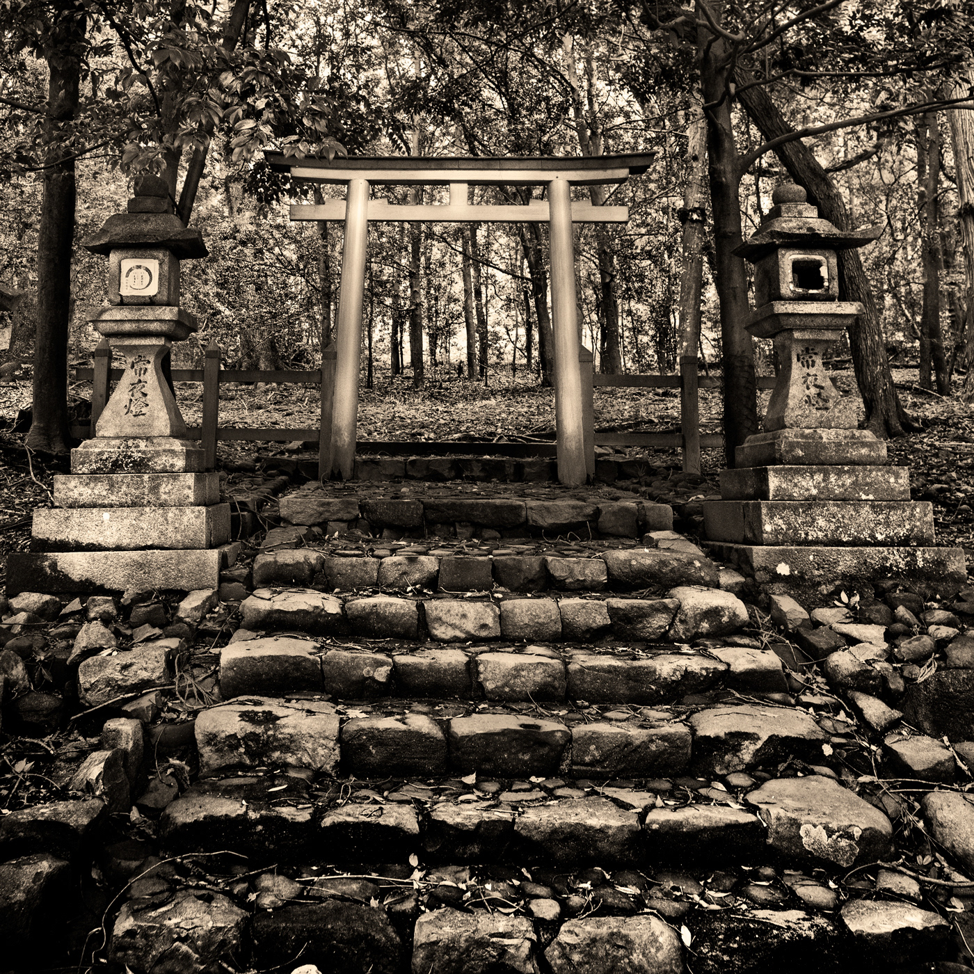 Kasuga-Dorii (春日鳥居), Kasugataisha (春日大社参道), デジタルプリントを用いたモノクロ画像の鶏卵紙作成のための作品 Albumen print, digital negative, monochrome、日本、奈良、鶏卵紙、albumen print