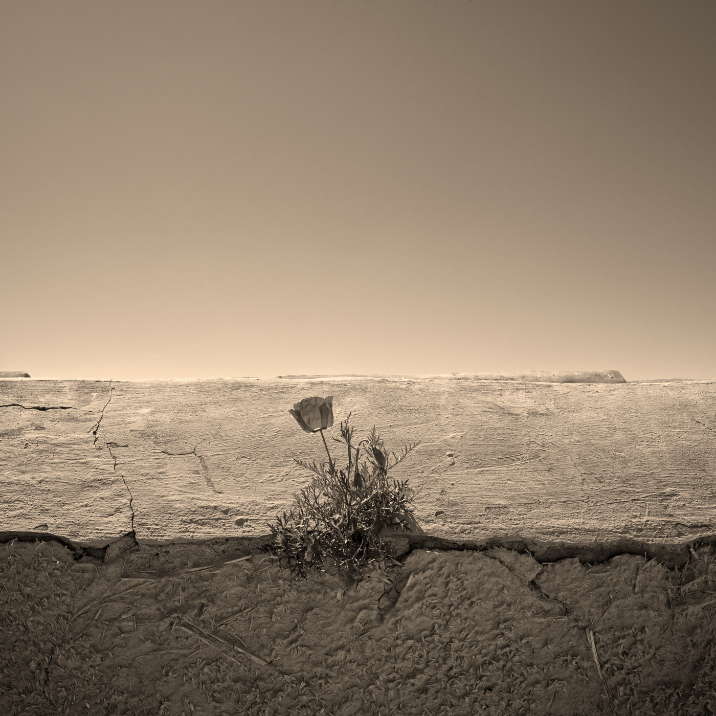 Landscape of Silk road in the various countries of Asia to Europe of Eurasian. Photographed in Kazakhstan. 撮影地:カザフスタン