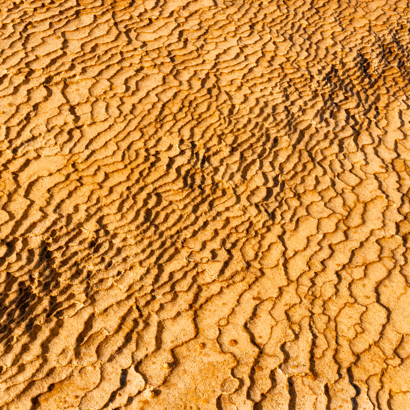 LIMESTONE LAND:黄金に輝く大地はまるで宇宙から見た地球の衛星写真のように見える。イラン、セムナーン近郊にある石灰岩(CaCO3)の棚田。 A rock made up mainly of calcium carbonate called lime stone spread out like shelves. The rocks made by mud and sand look like the earth. The rock is flooded with water and shines golden in front of me.