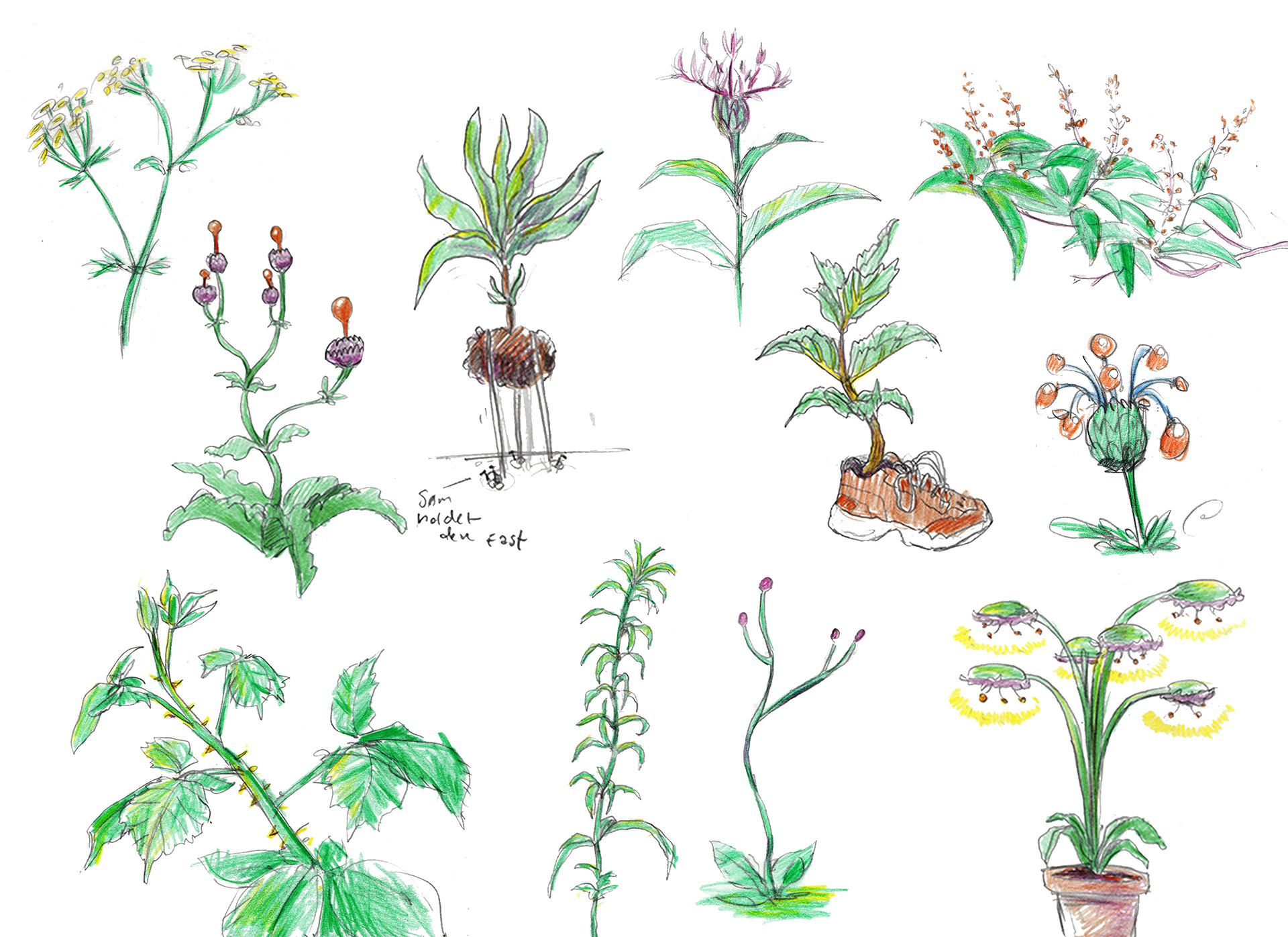 Real life sketches and Ideas