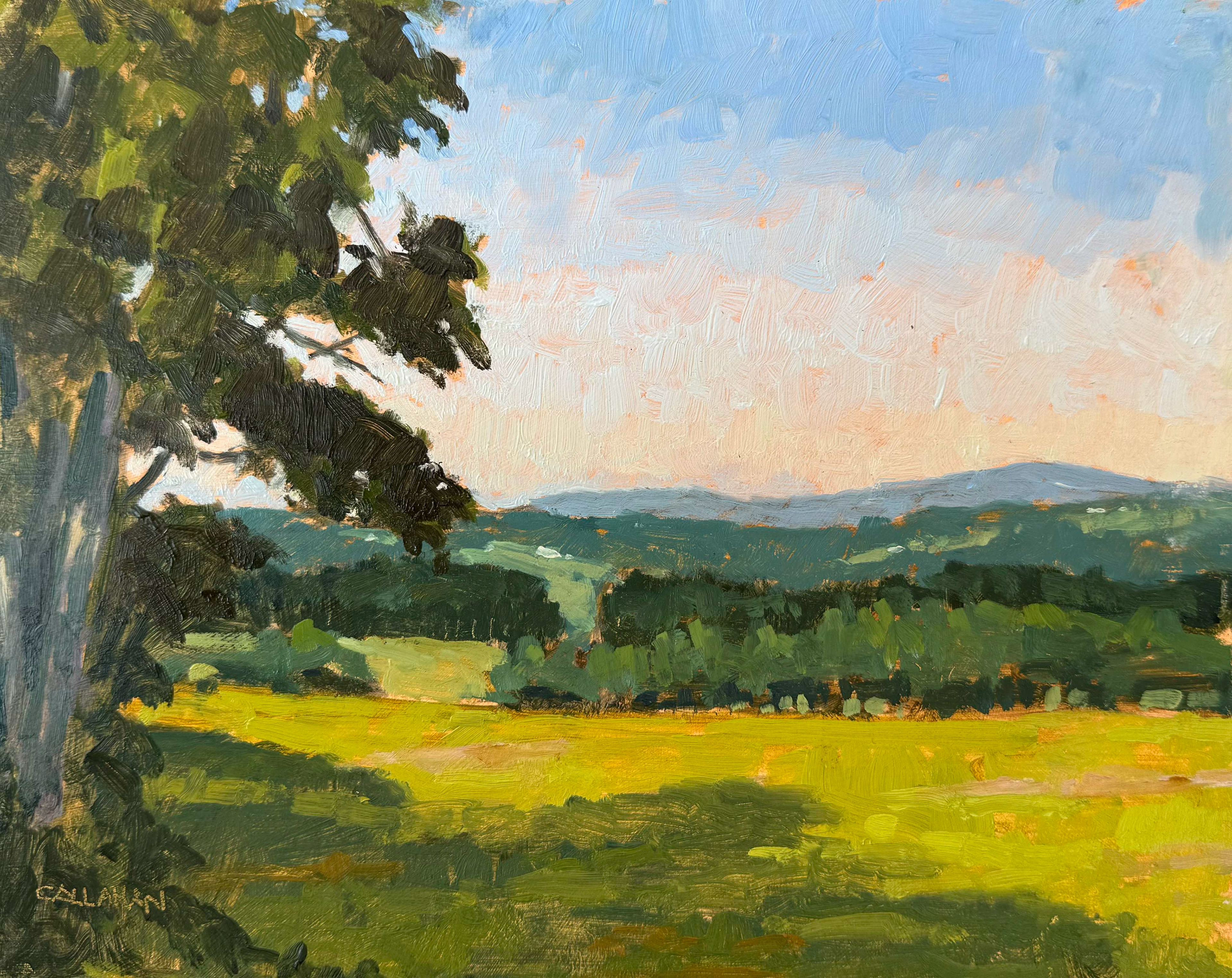 Oberfrauenau Field 10x8