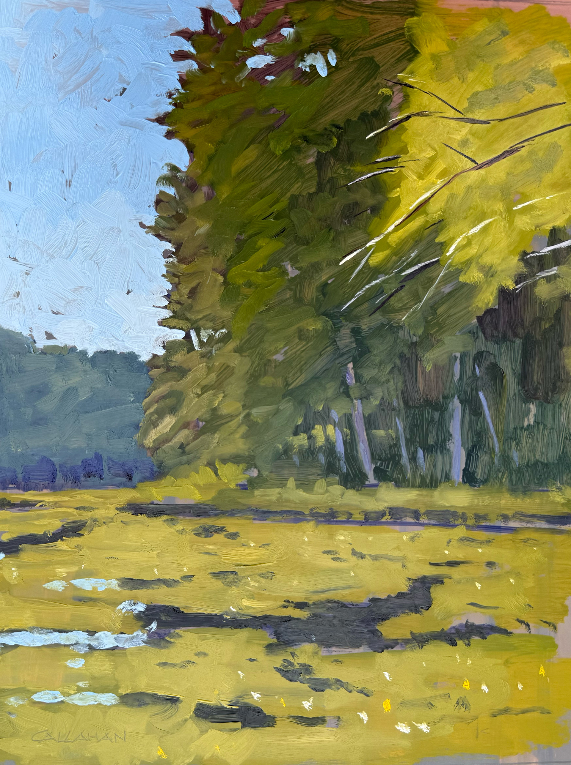 Summer Pond 7, 11x14 oil on mylar