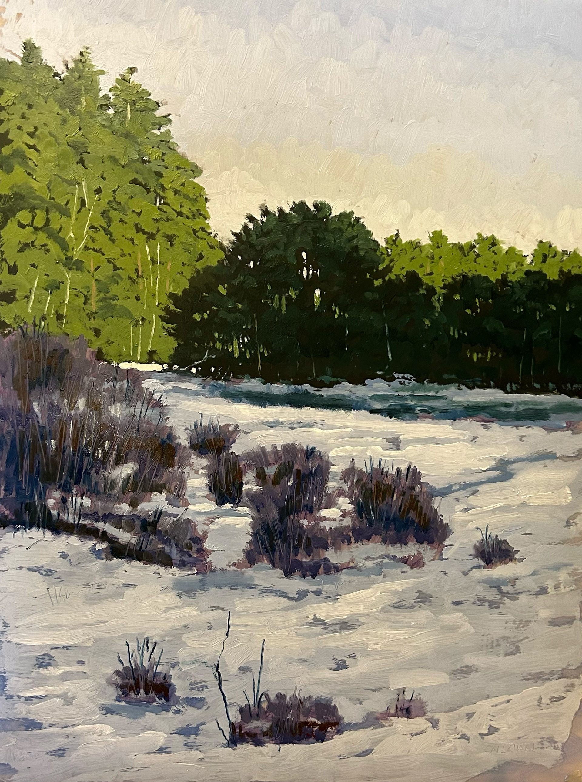 Late Winter Afternoon 18 x 24 oil on Mylar