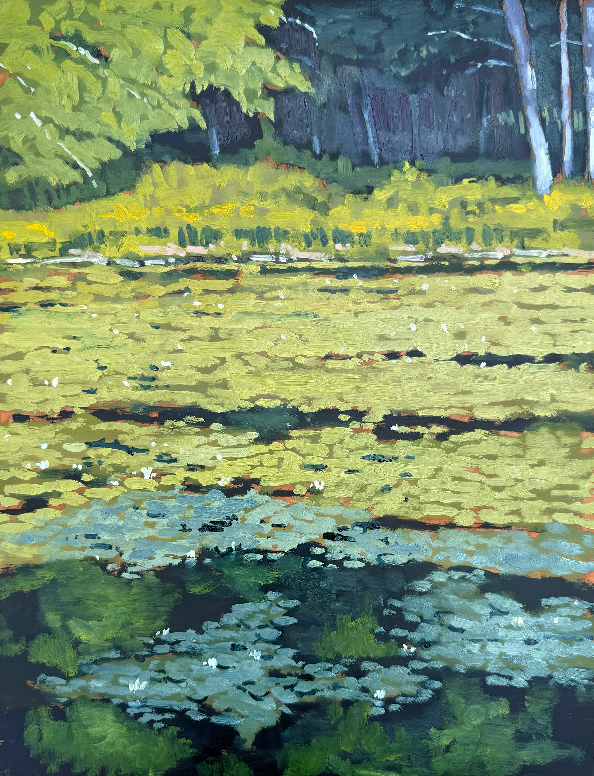 Summer Pond 1, 11x14 oil on mylar