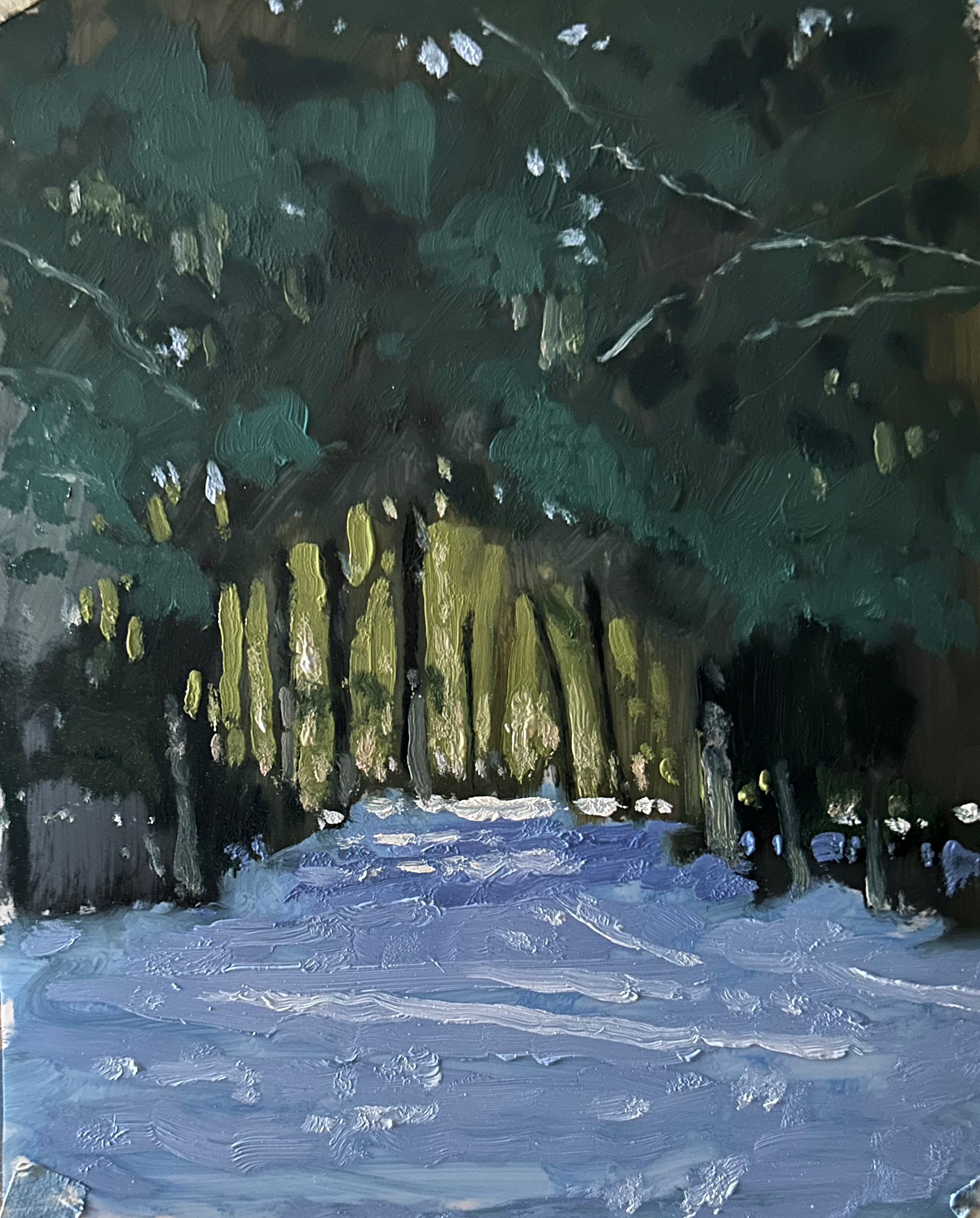 Into The Woods 8x10 oil on Mylar