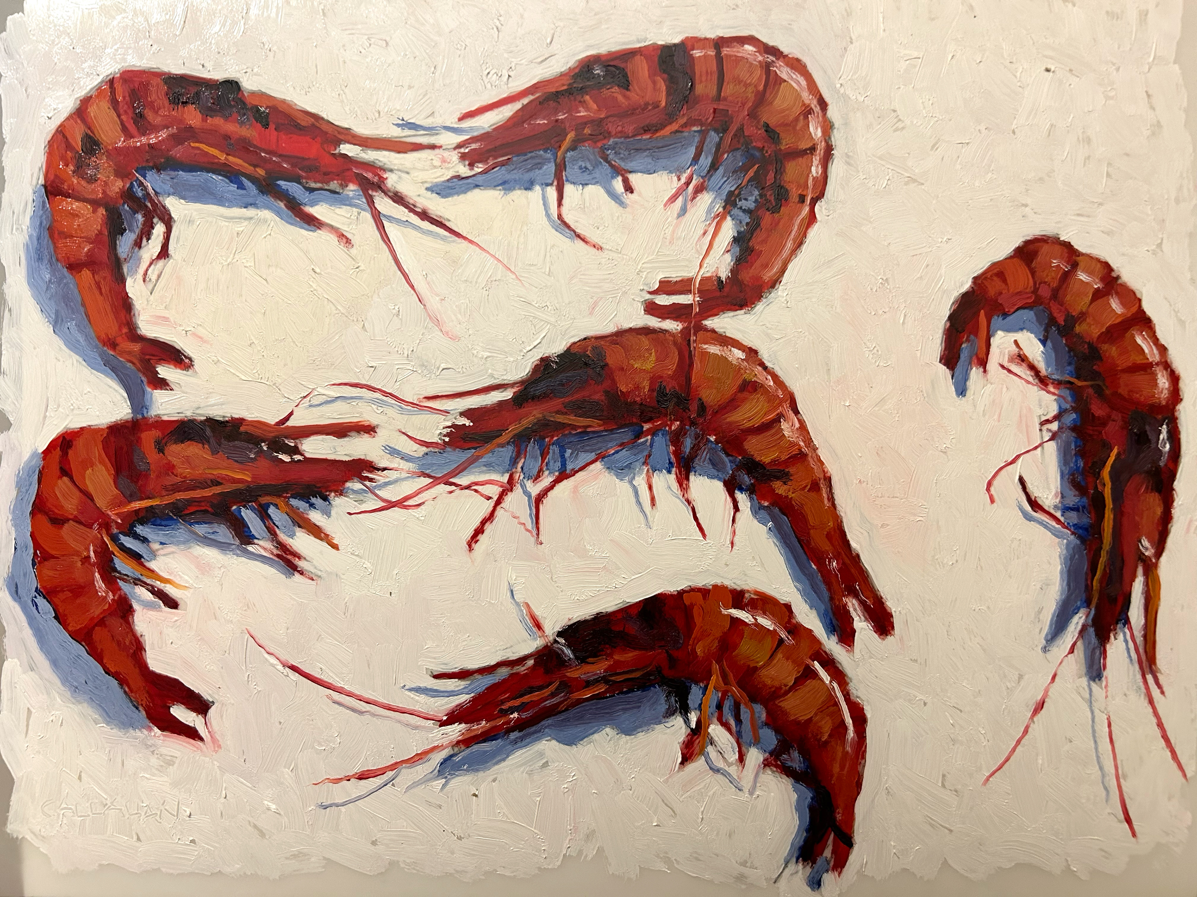 6 Striped Shrimp 14x11 oil on Mylar