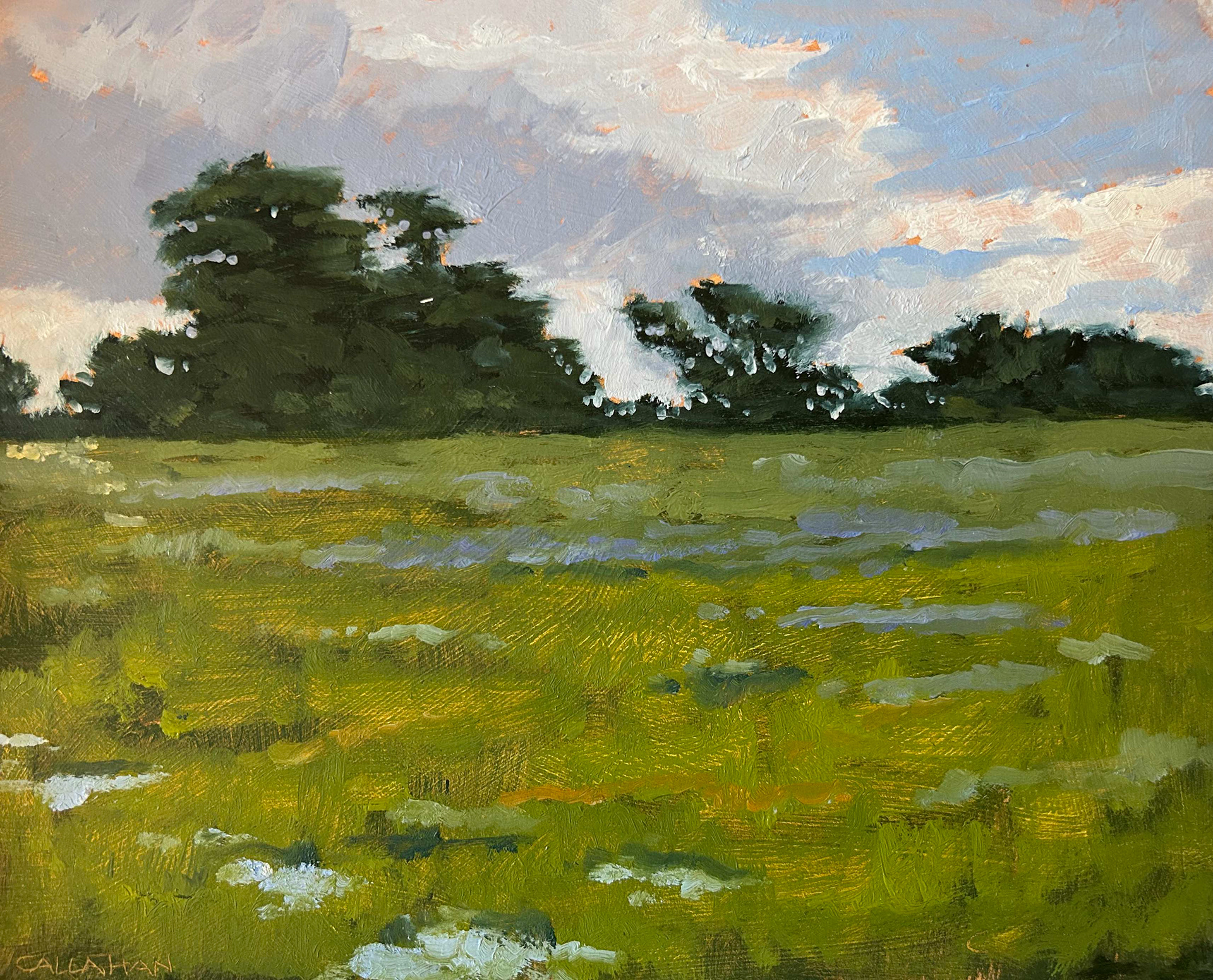 Field in Santa Cruz 10x8