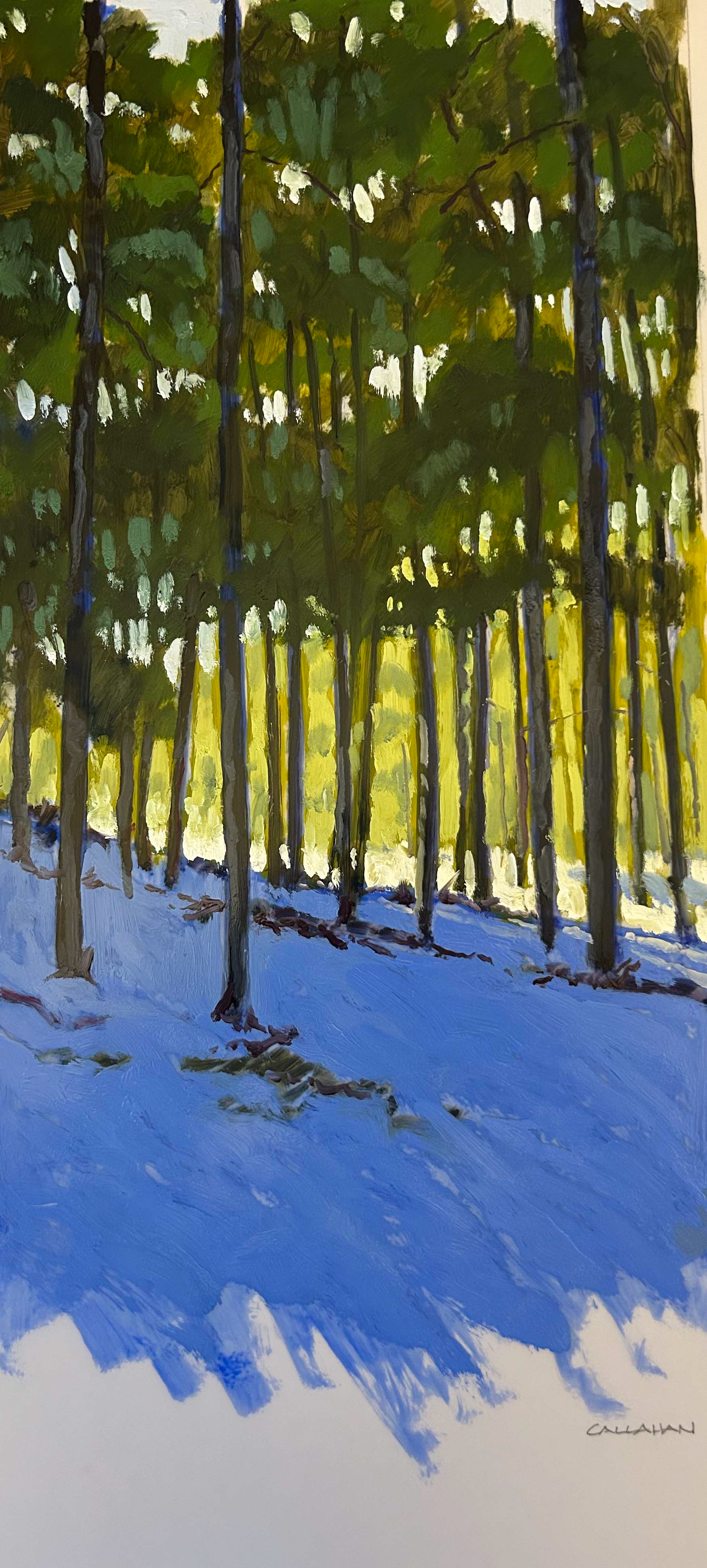 Another Walk in the Woods 8x22 