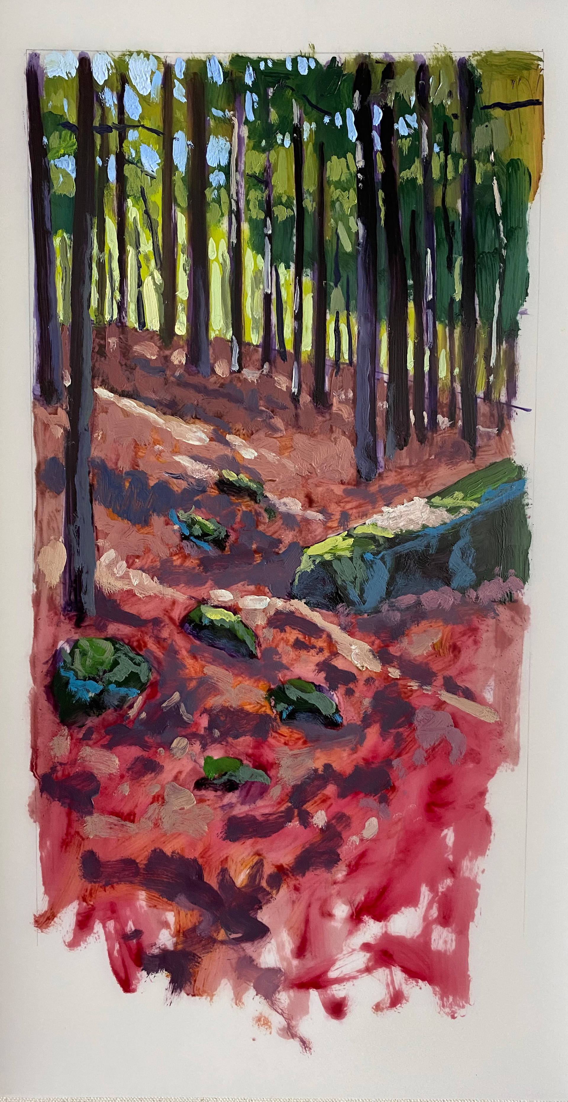 Pines 8 x 16 oil on Mylar