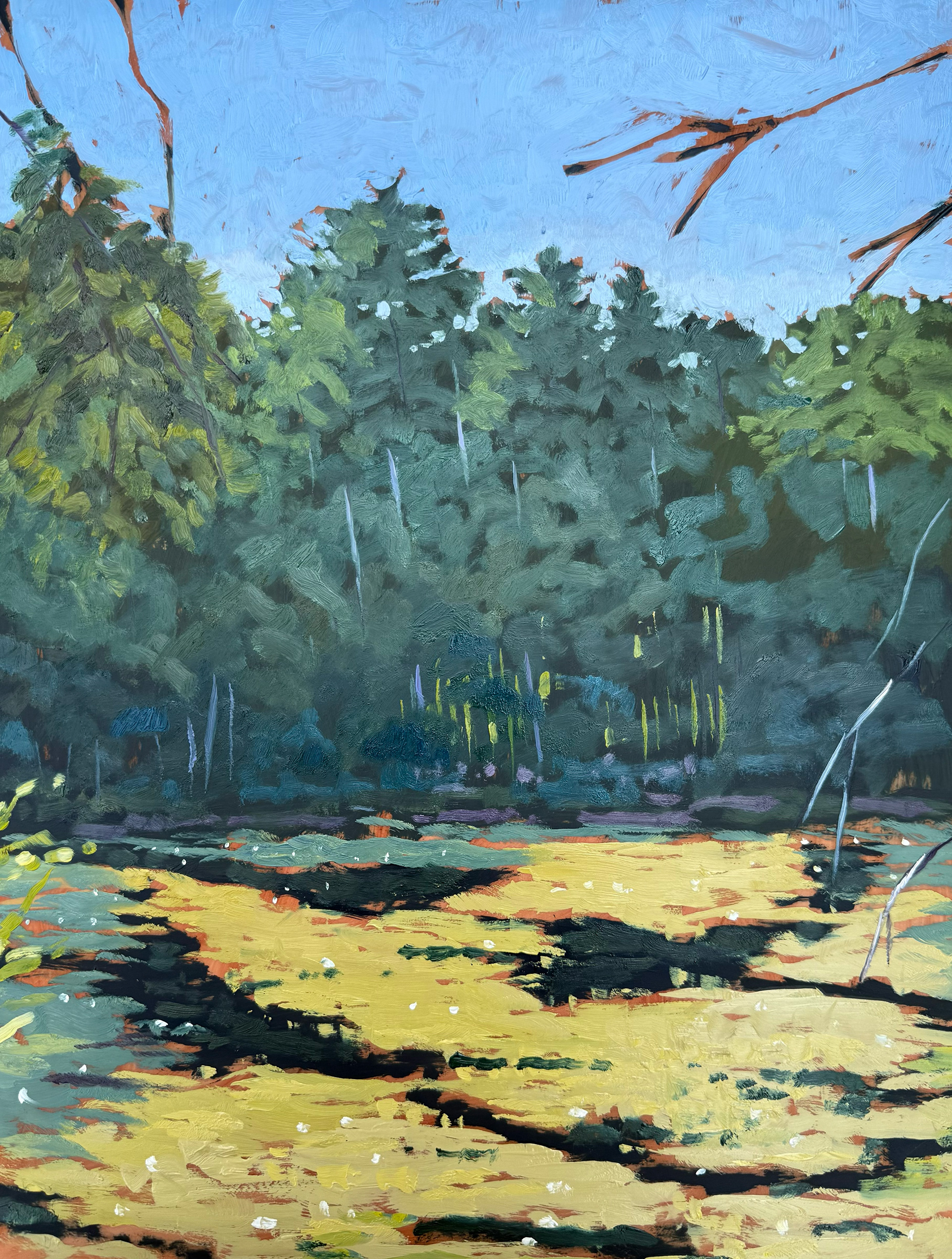 Summer Pond31, 11x14 oil on mylar